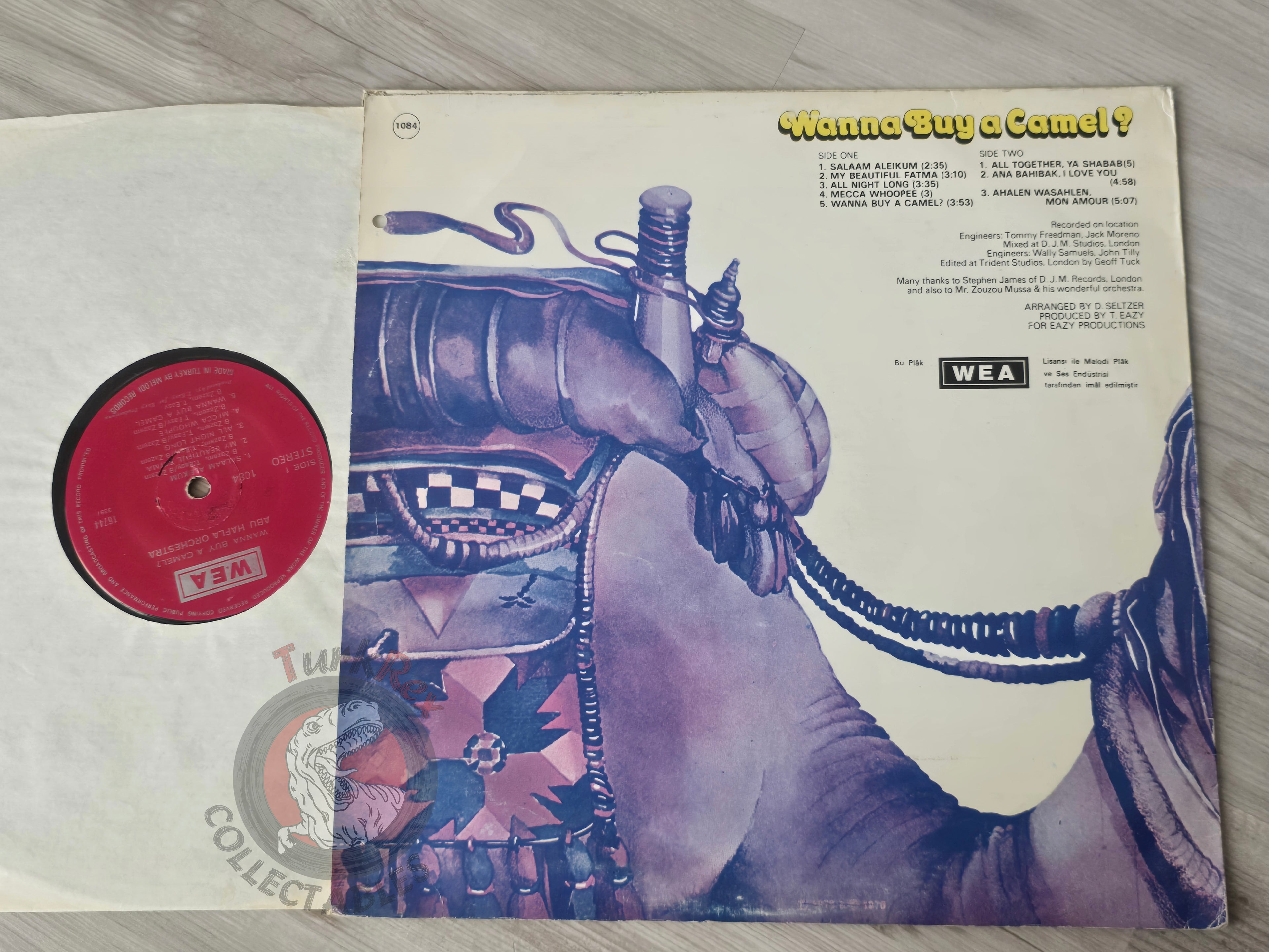 Abu Hafla Orchestra – Wanna Buy A Camel?  Turkish Pressing Vinyl Turkey Edition