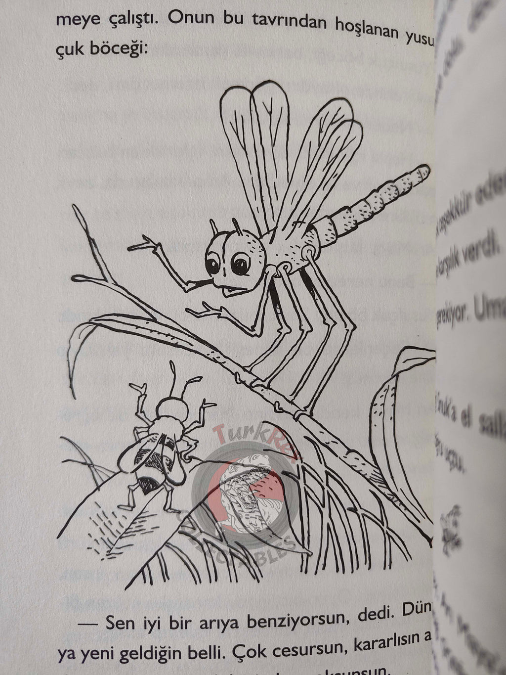 Waldemar Bonsels – Maya the Bee 2013 Turkish Book Turkey Illustrated
