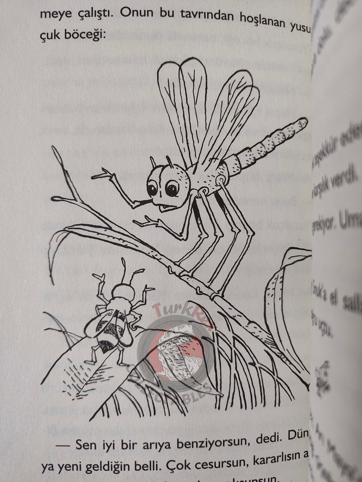 Waldemar Bonsels – Maya the Bee 2013 Turkish Book Turkey Illustrated