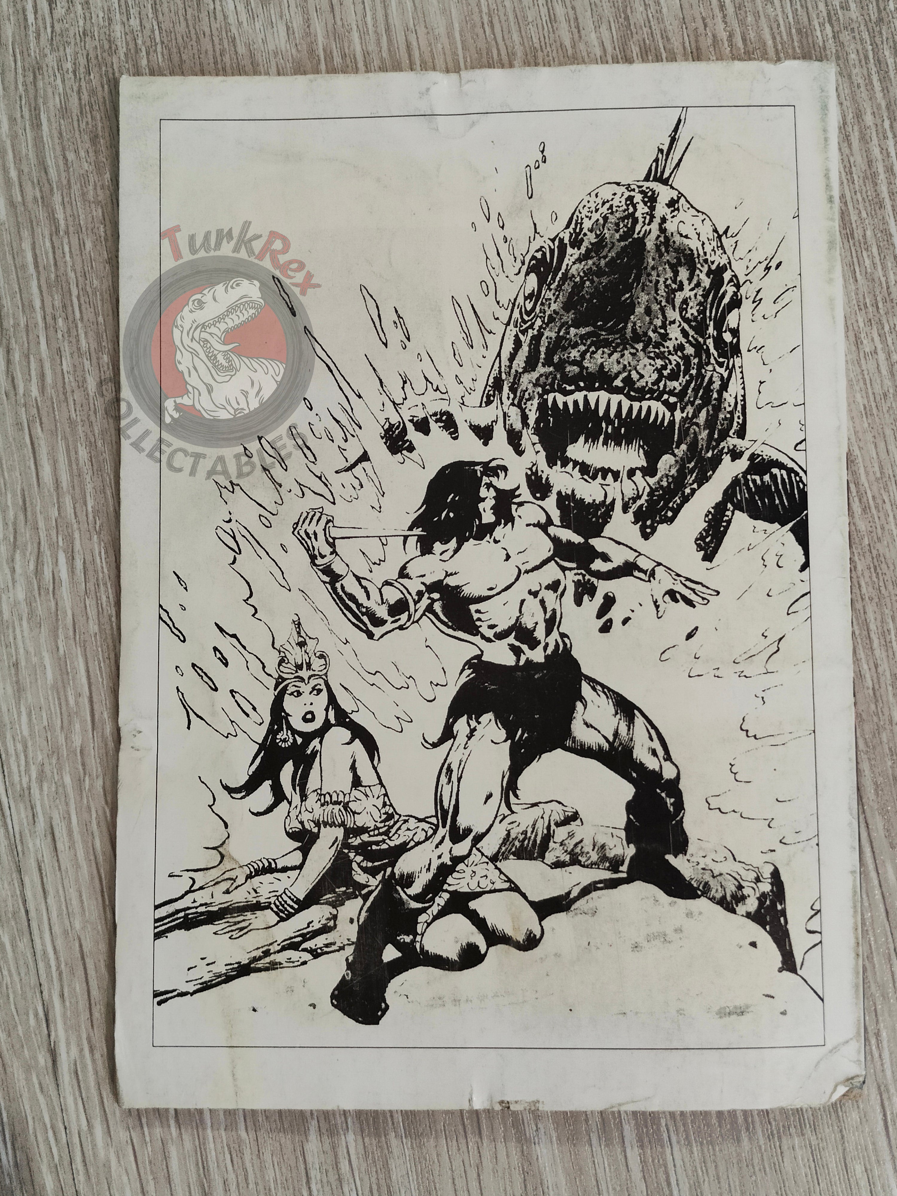 Conan #28 The Savage Sword of Conan #55 #217 Turkish Comic Turkey