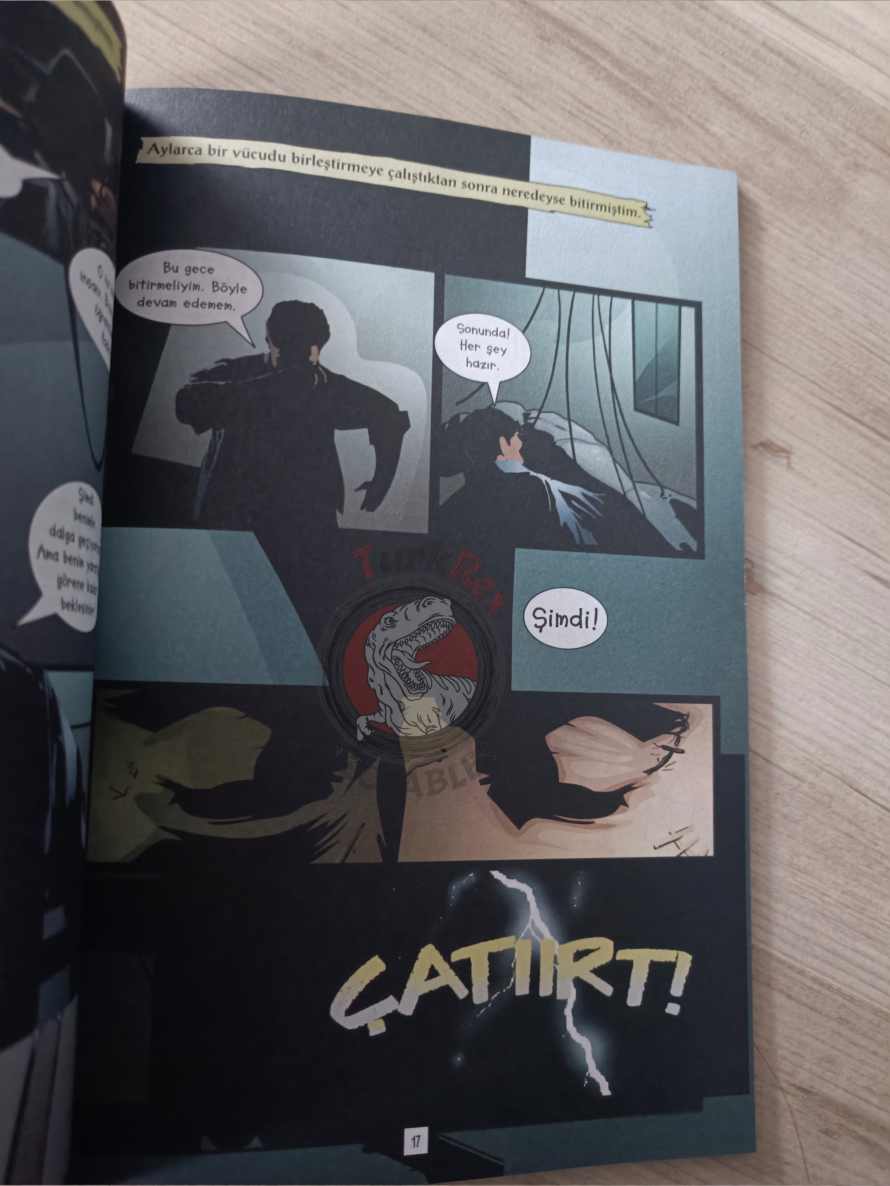 Frankenstein by Mary Shelley Turkish Comic Turkey Stone Arch Books