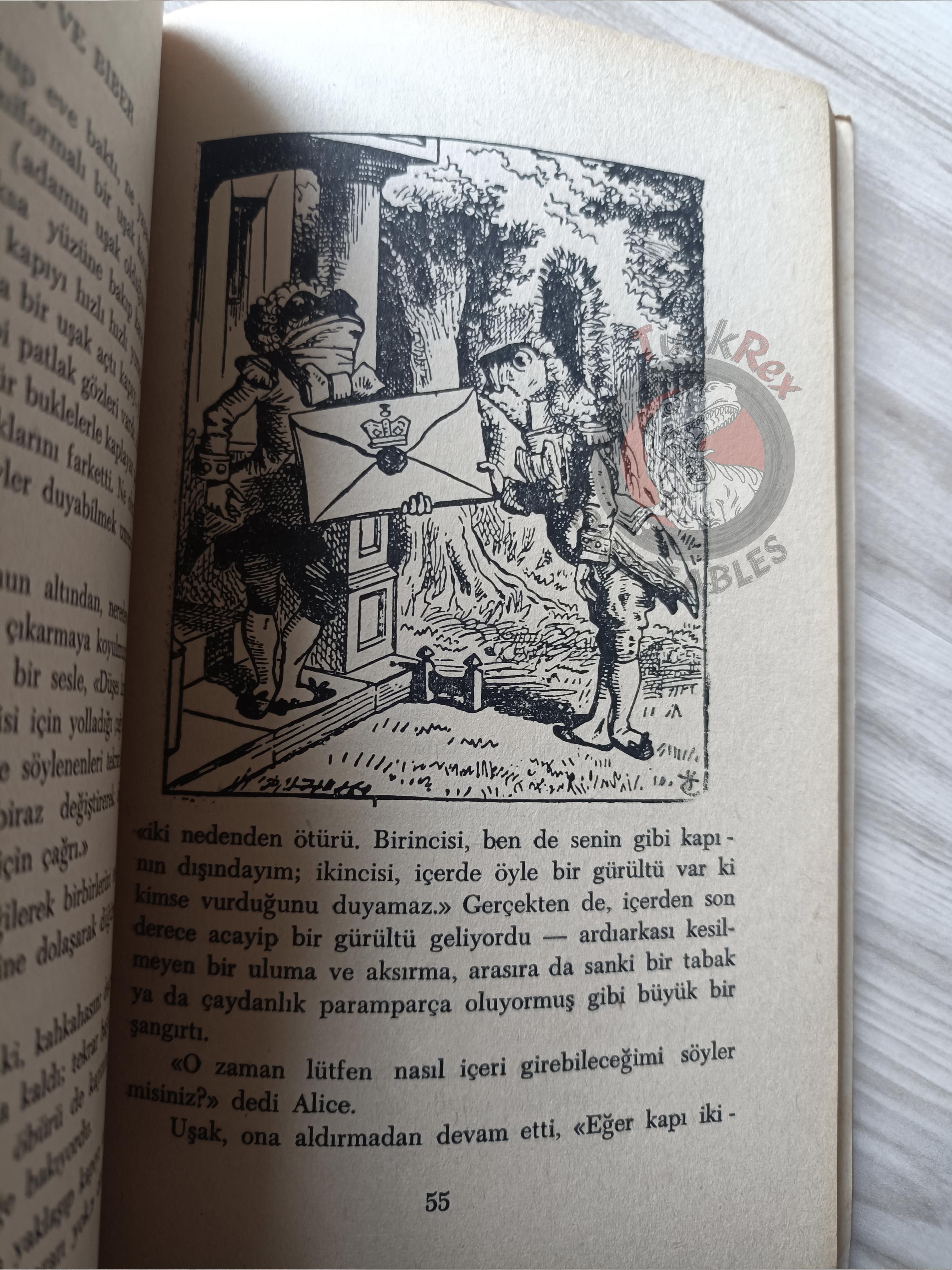 Lewis Carroll – Alice in Wonderland 1969 Turkish Book Turkey Illustrated John Tenniel