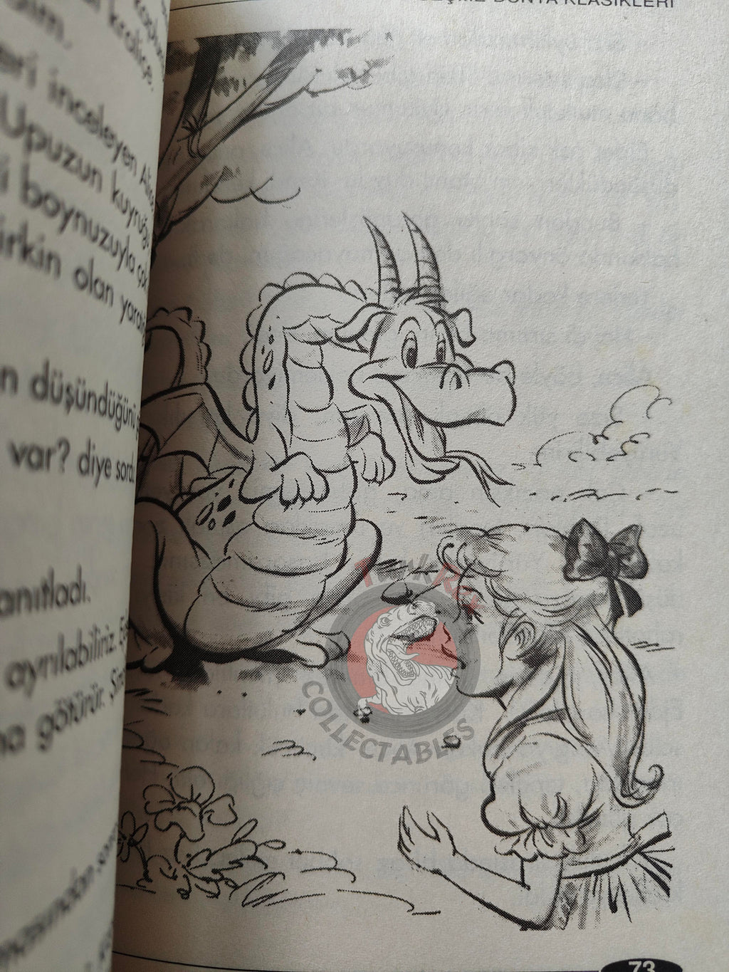 Lewis Carroll – Alice in Wonderland 2005 Turkish Book Turkey Illustrated
