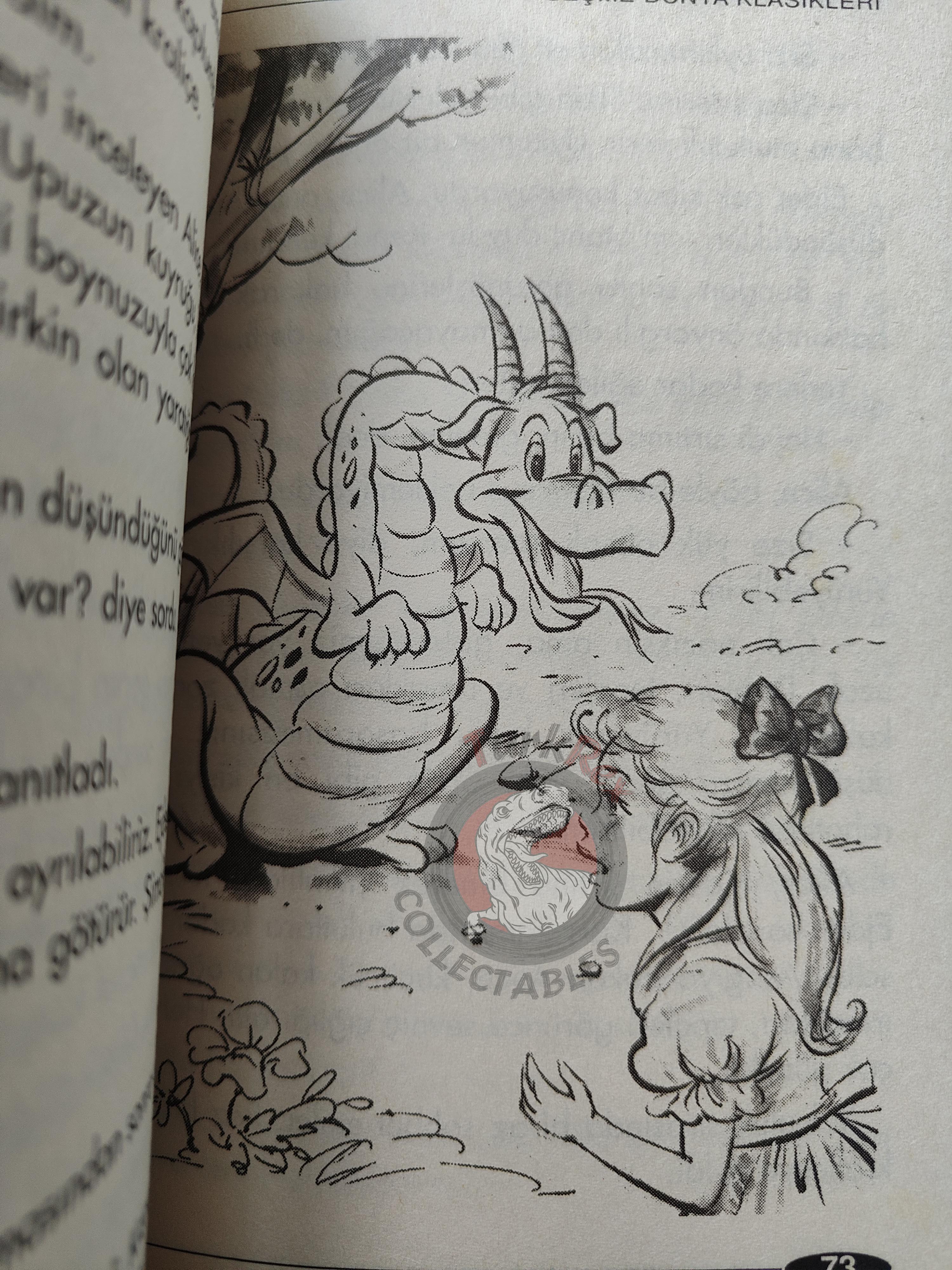 Lewis Carroll – Alice in Wonderland 2005 Turkish Book Turkey Illustrated