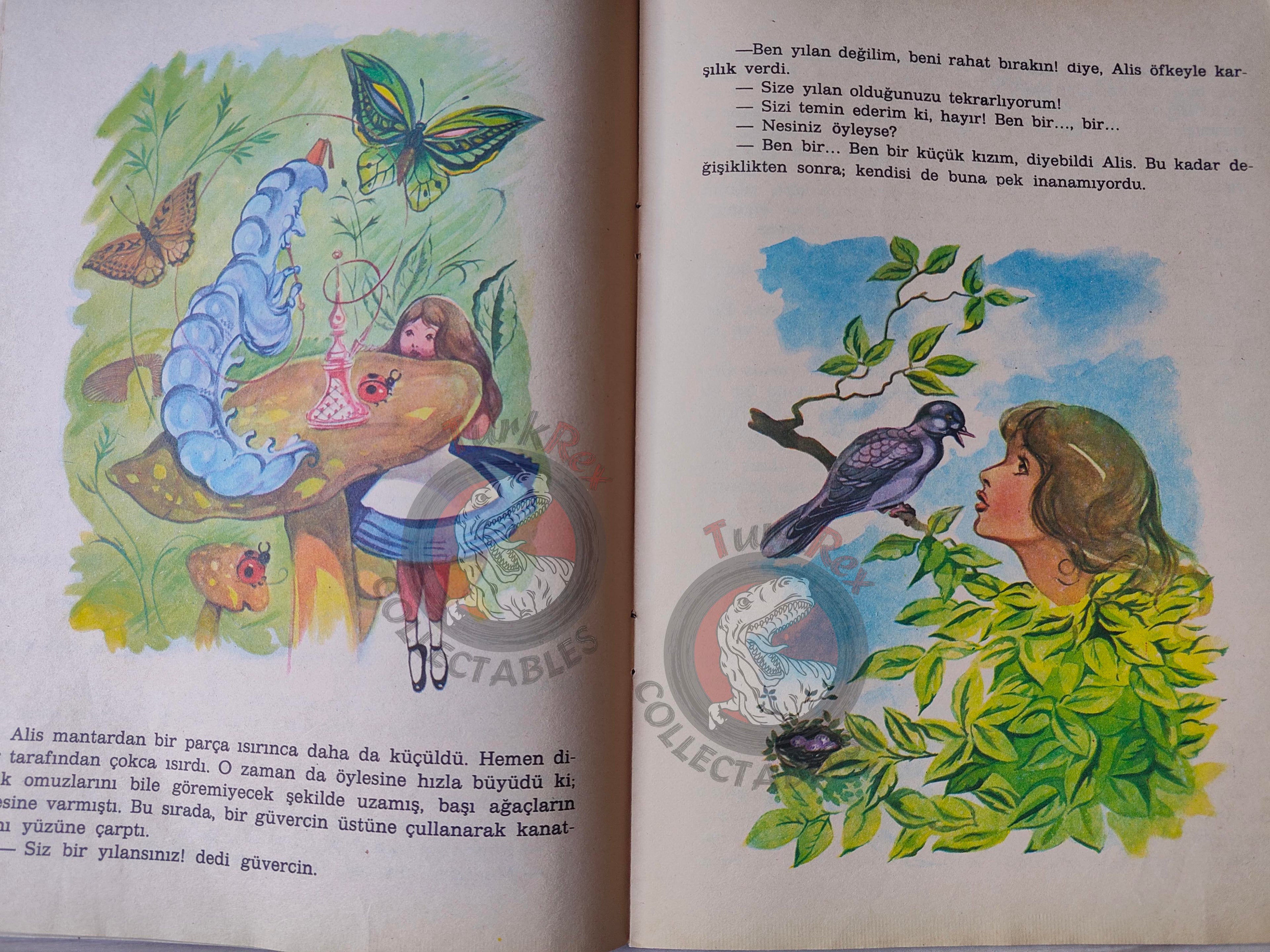 Lewis Carroll – Alice in Wonderland 1988 Turkish Book Turkey Illustrated Alice Huertas