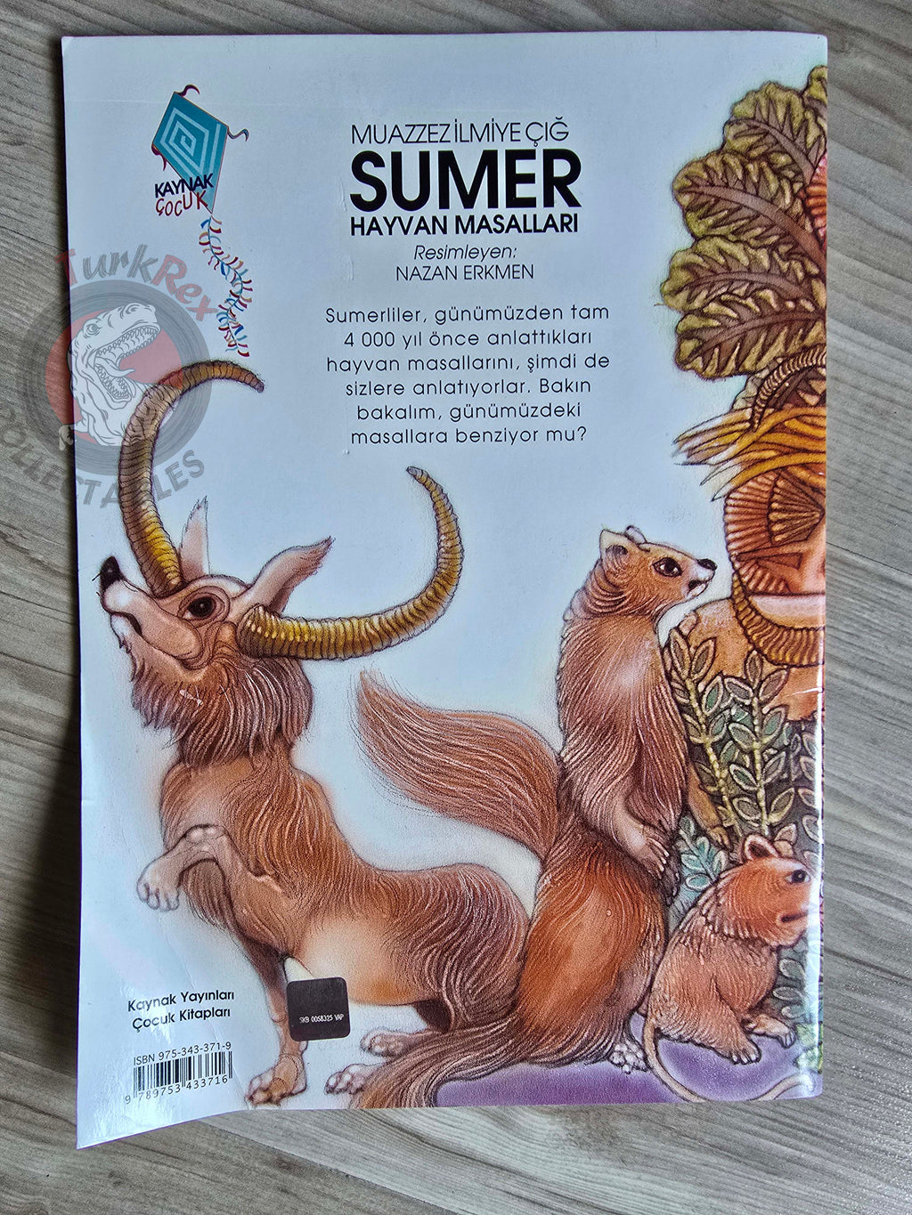 Muazzez İlmiye Çığ – Sumerian Animal Fables 2007 Turkish Book Turkey Illustrated