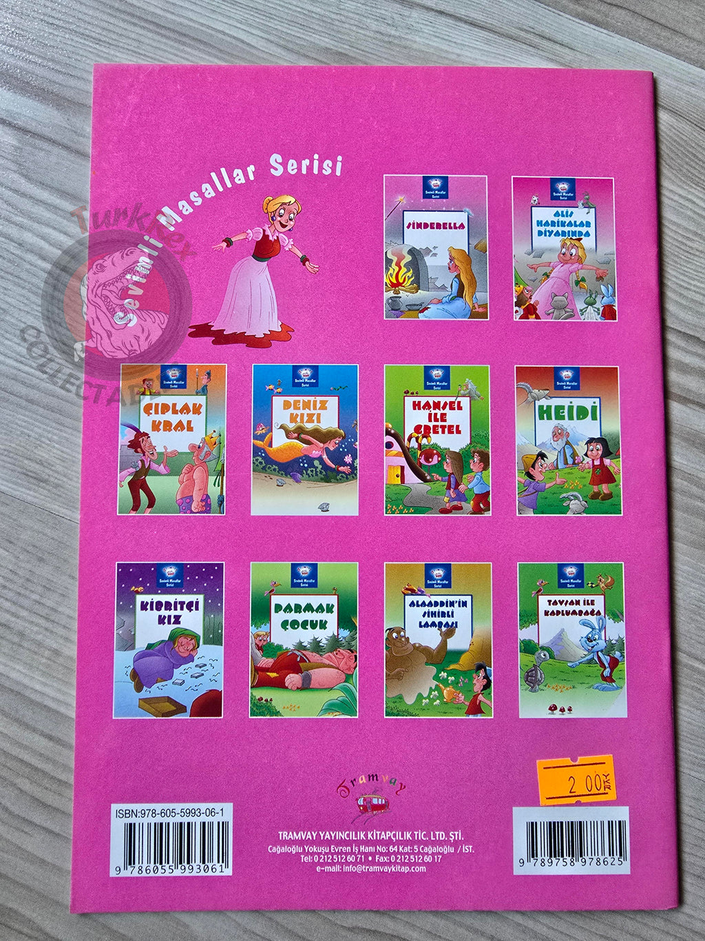 Grimm Brothers – Cinderella 2011 Turkish Book Turkey Illustrated 1