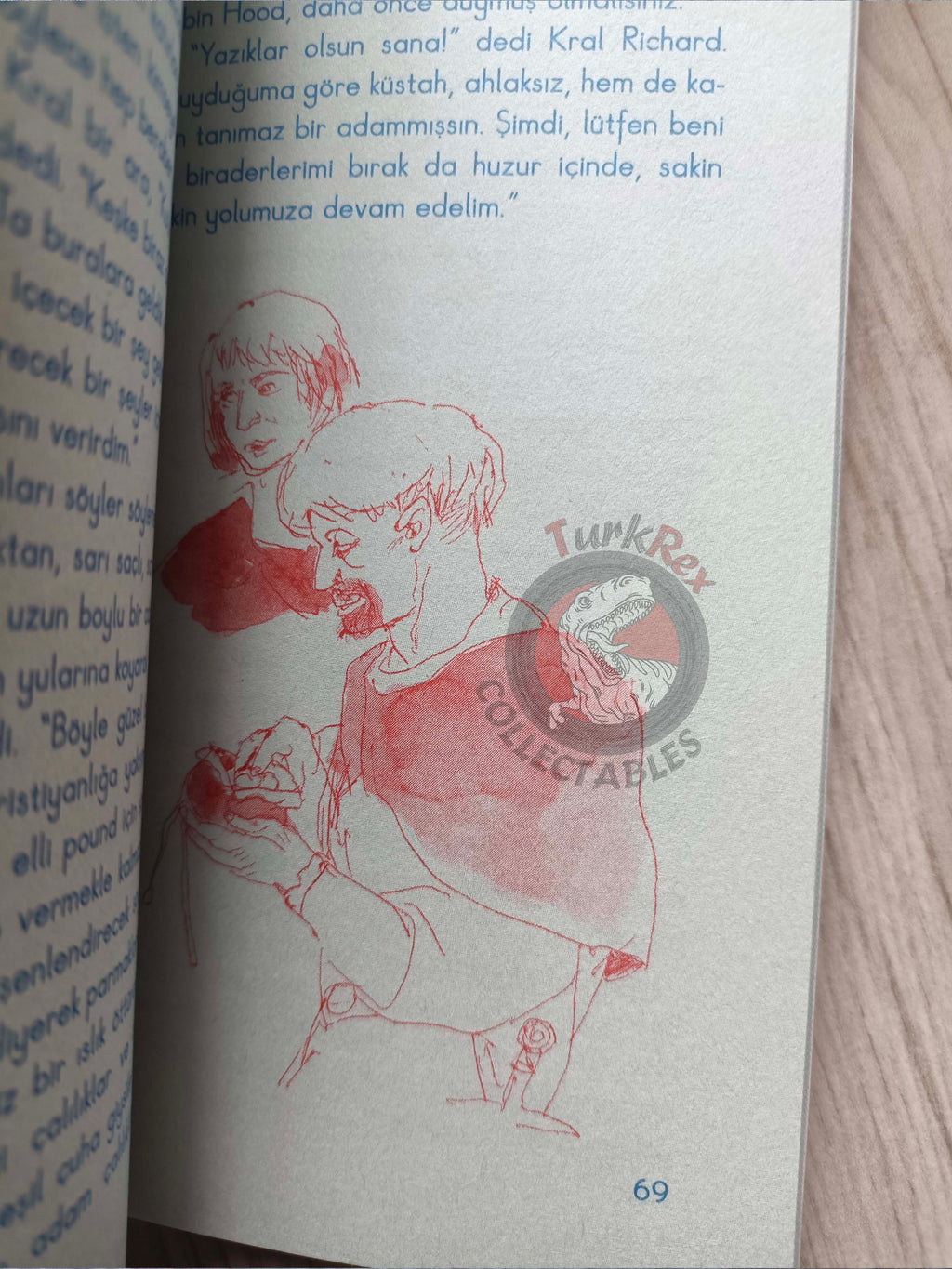 Robin Hood – Howard Pyle 2010 Turkish Book Turkey Illustrated