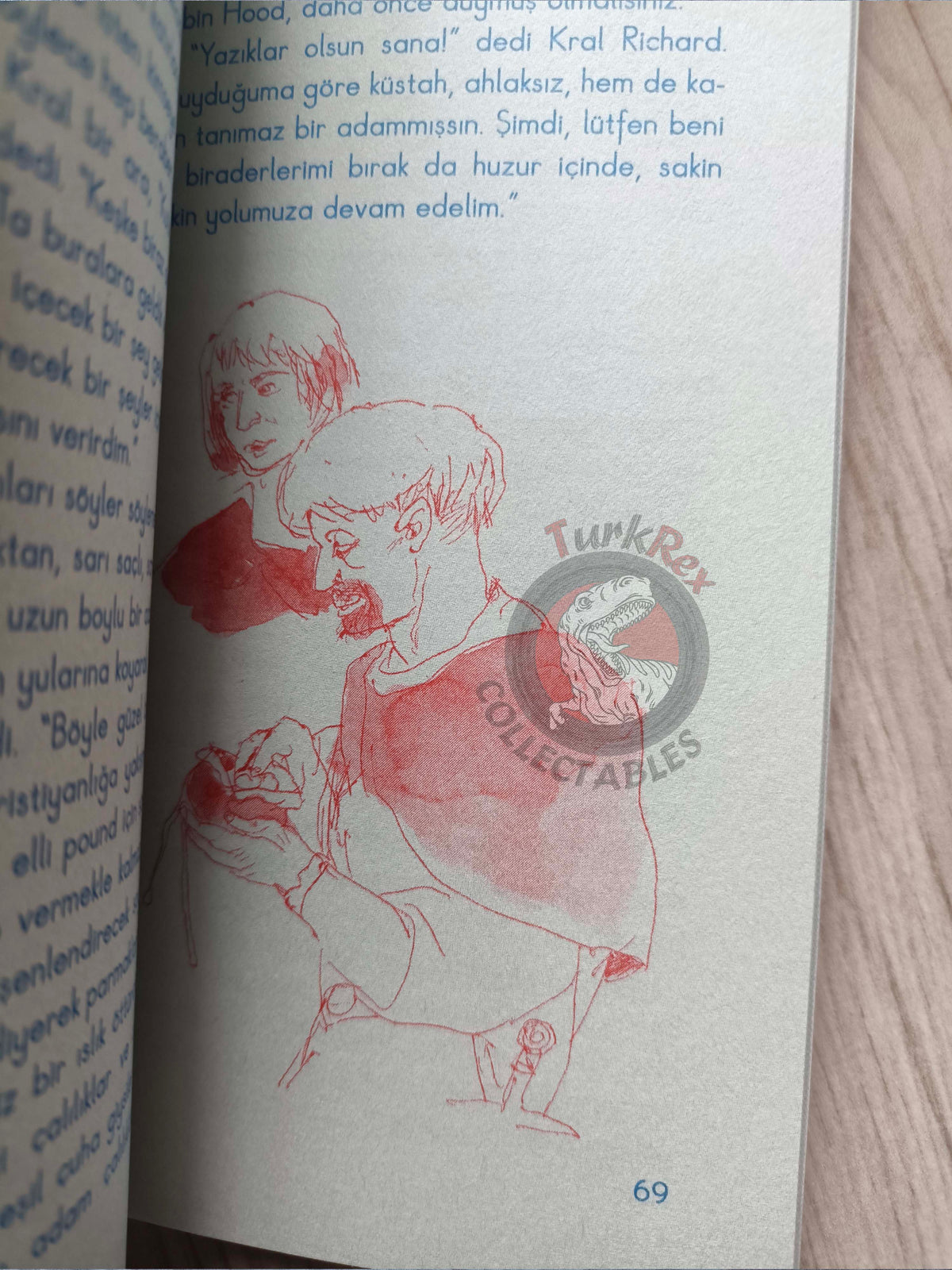 Robin Hood – Howard Pyle 2010 Turkish Book Turkey Illustrated