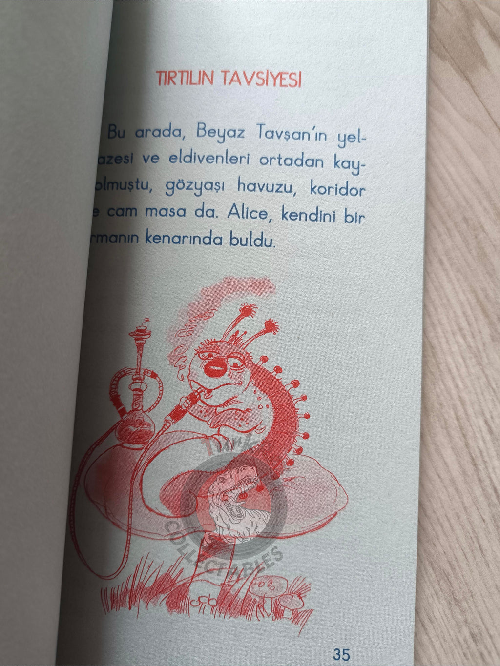Lewis Carroll – Alice in Wonderland 2010 Turkish Book Turkey Illustrated 3