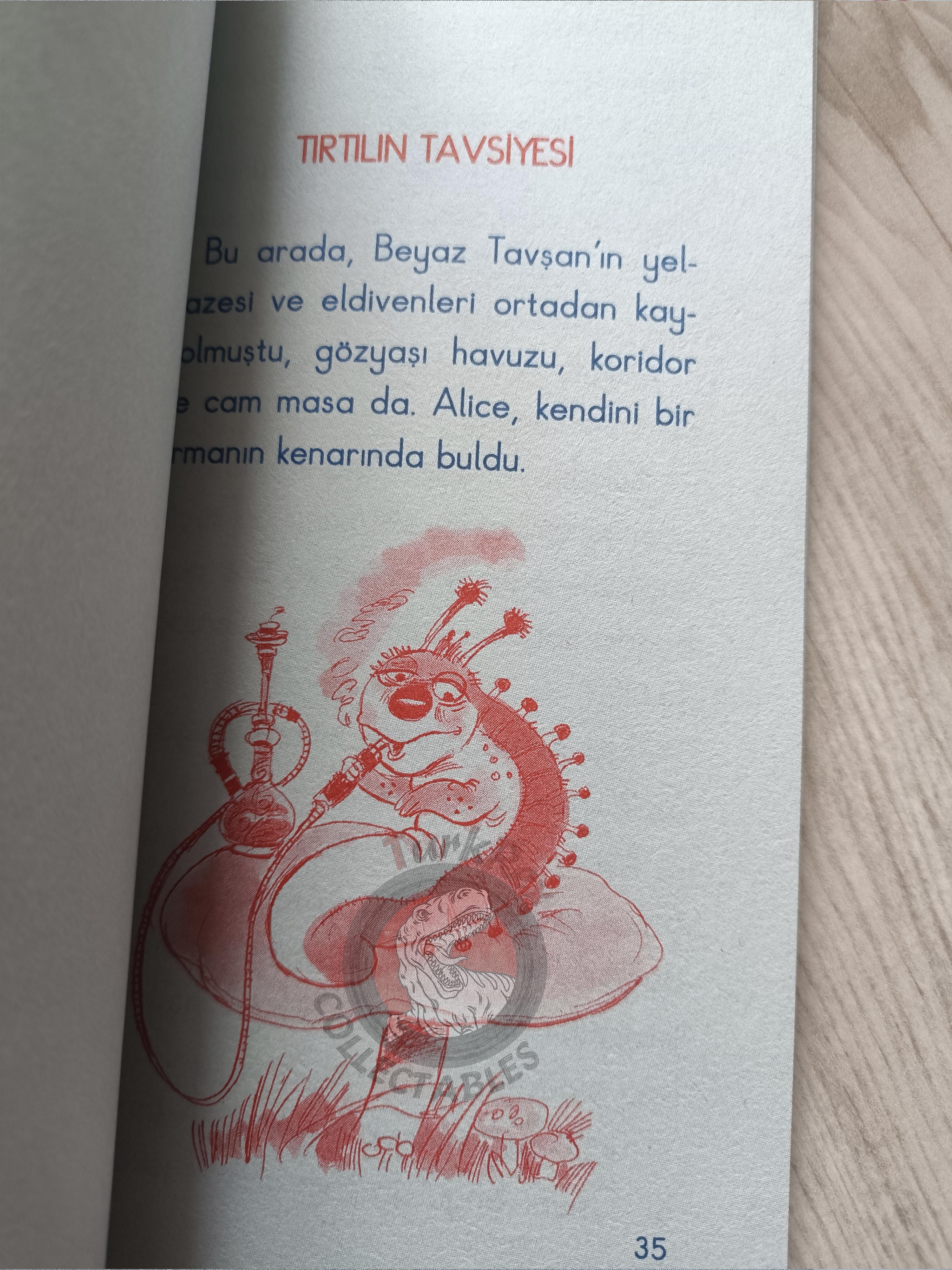 Lewis Carroll – Alice in Wonderland 2010 Turkish Book Turkey Illustrated 3