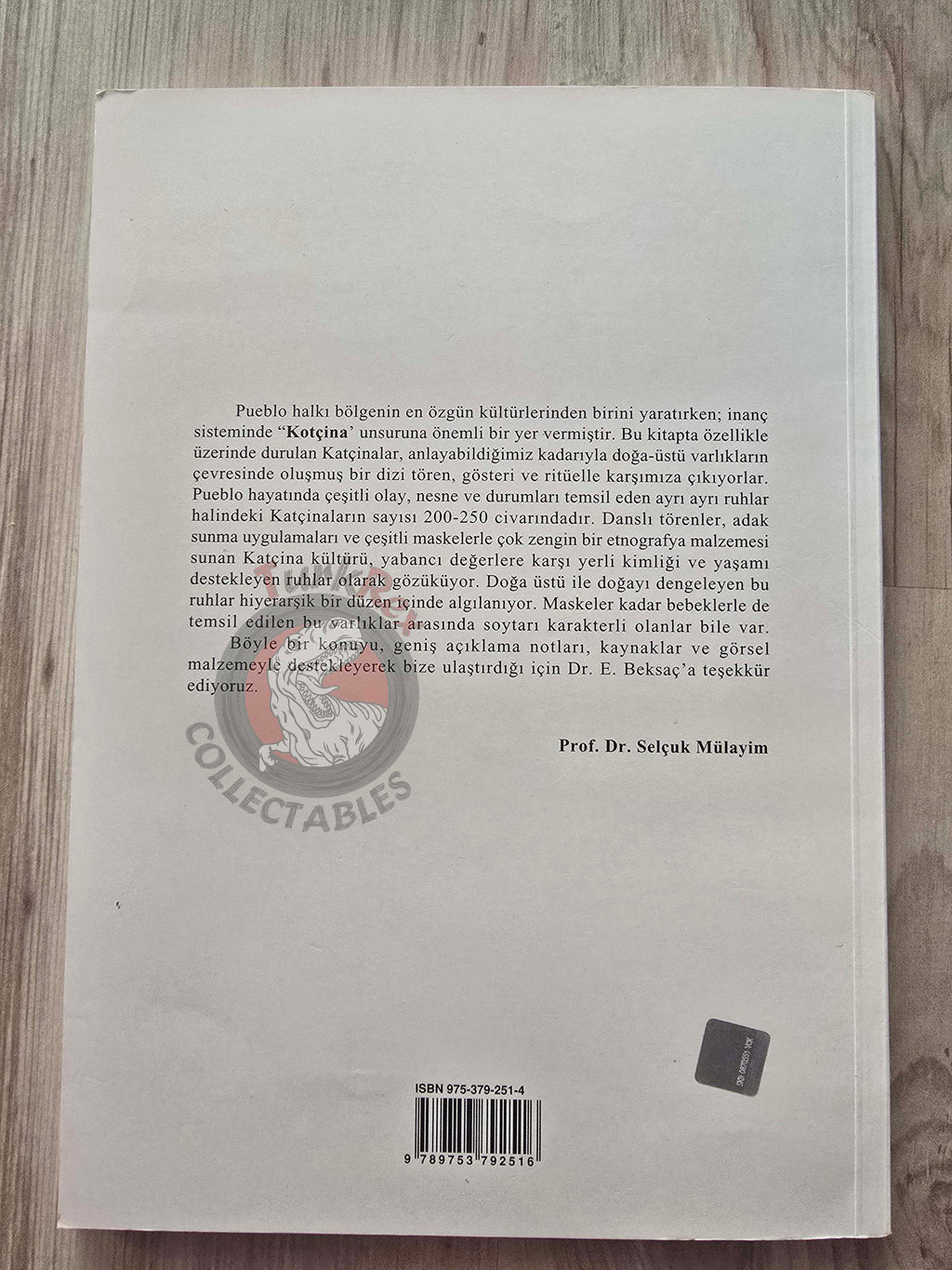 Engin Beksaç – Pueblo Kachinas in Native American Art Turkish Book Turkey