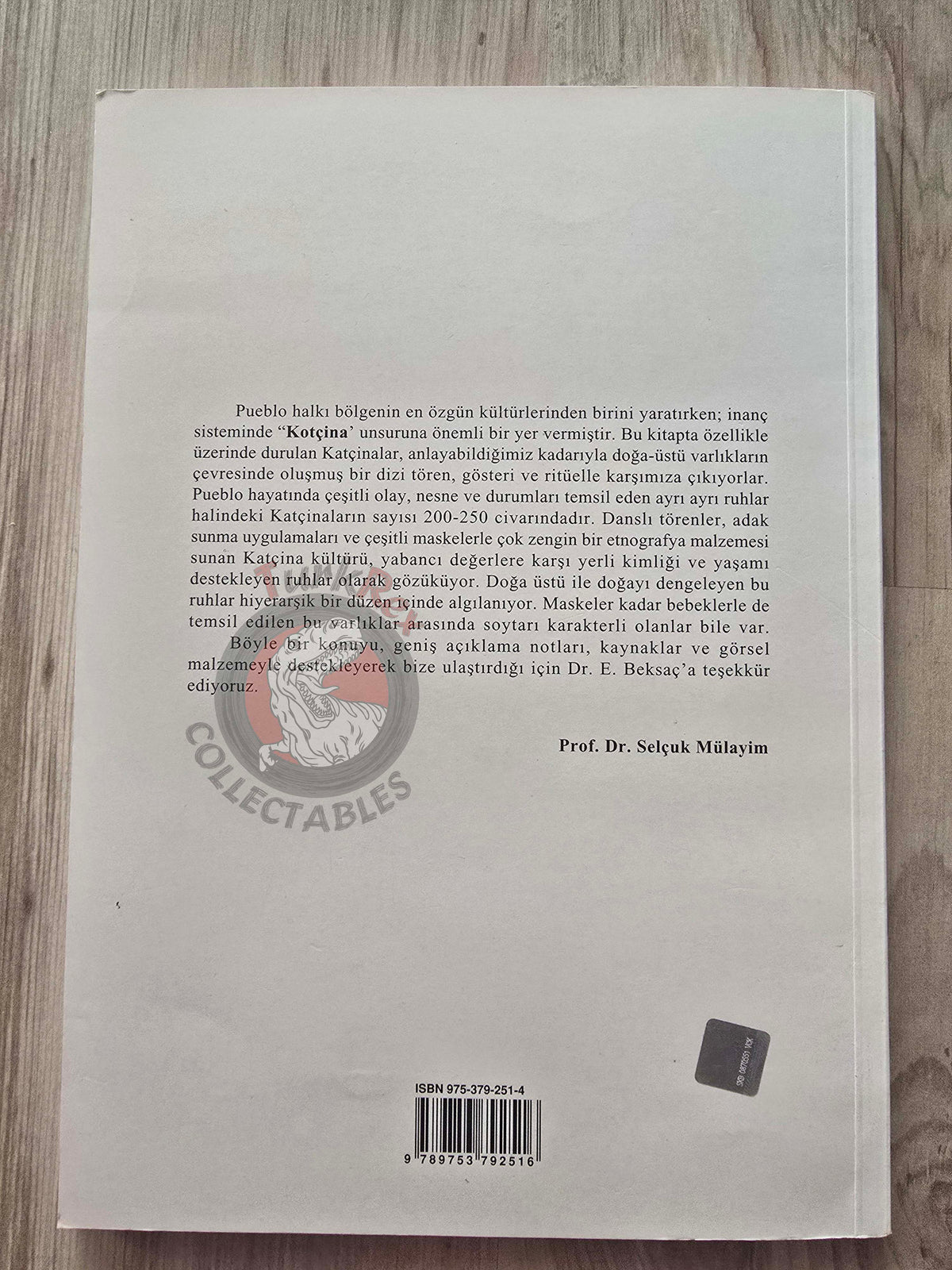 Engin Beksaç – Pueblo Kachinas in Native American Art Turkish Book Turkey