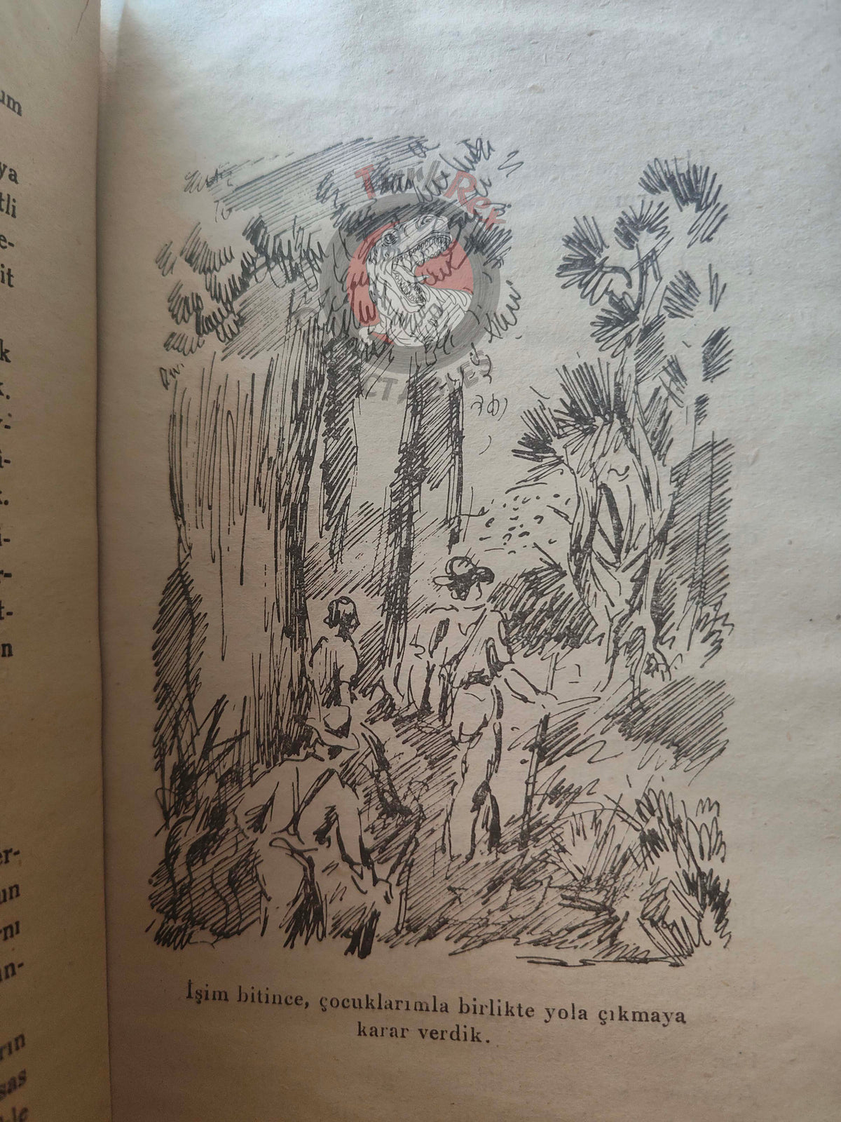 Johann David Wyss – The Swiss Family Robinson 1946 Turkish Book Turkey Illustrated