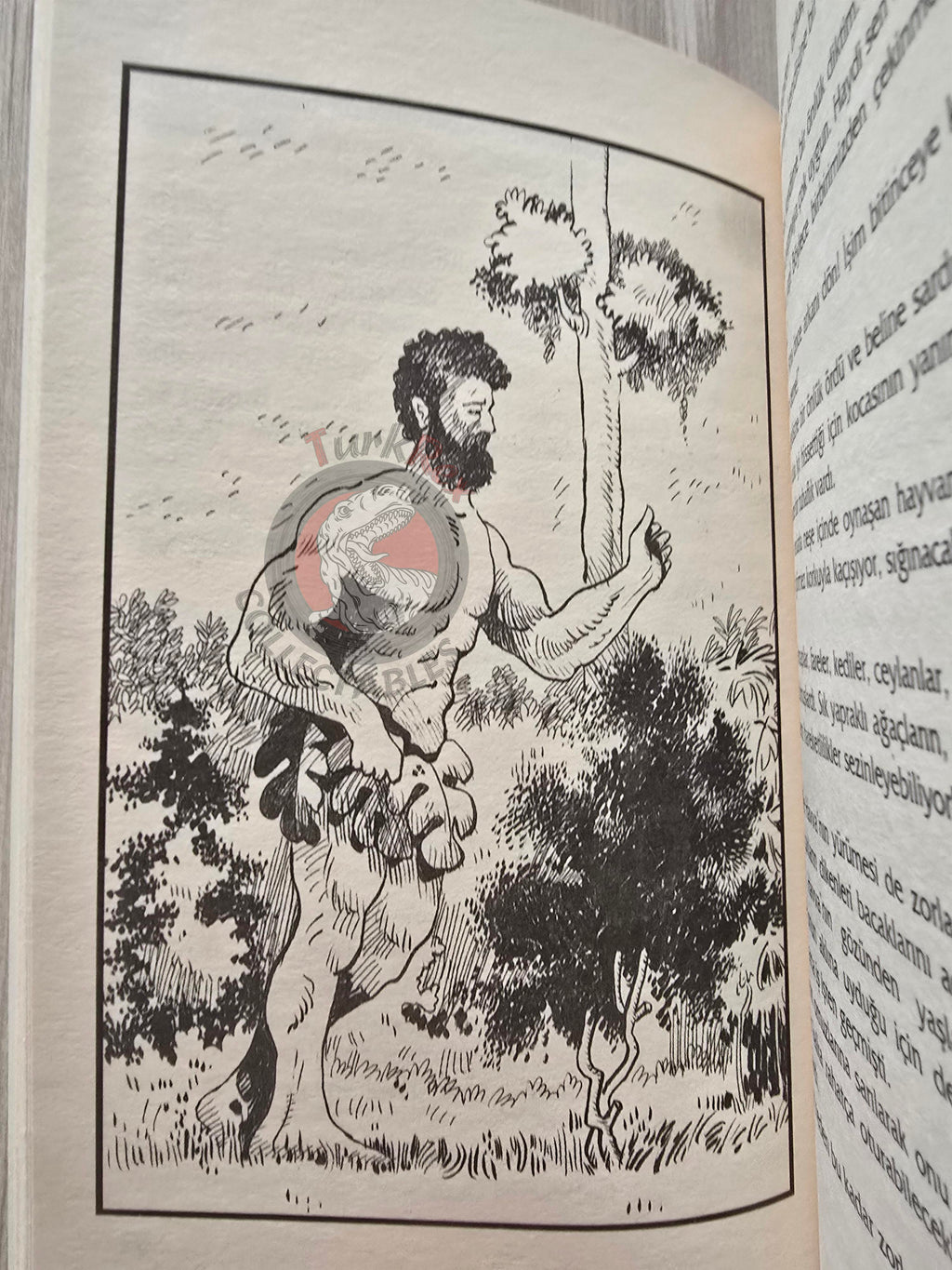 Adam and Eve – Albert Hirsch 2003 Turkish Book Turkey Illustrated by Turkish Artist