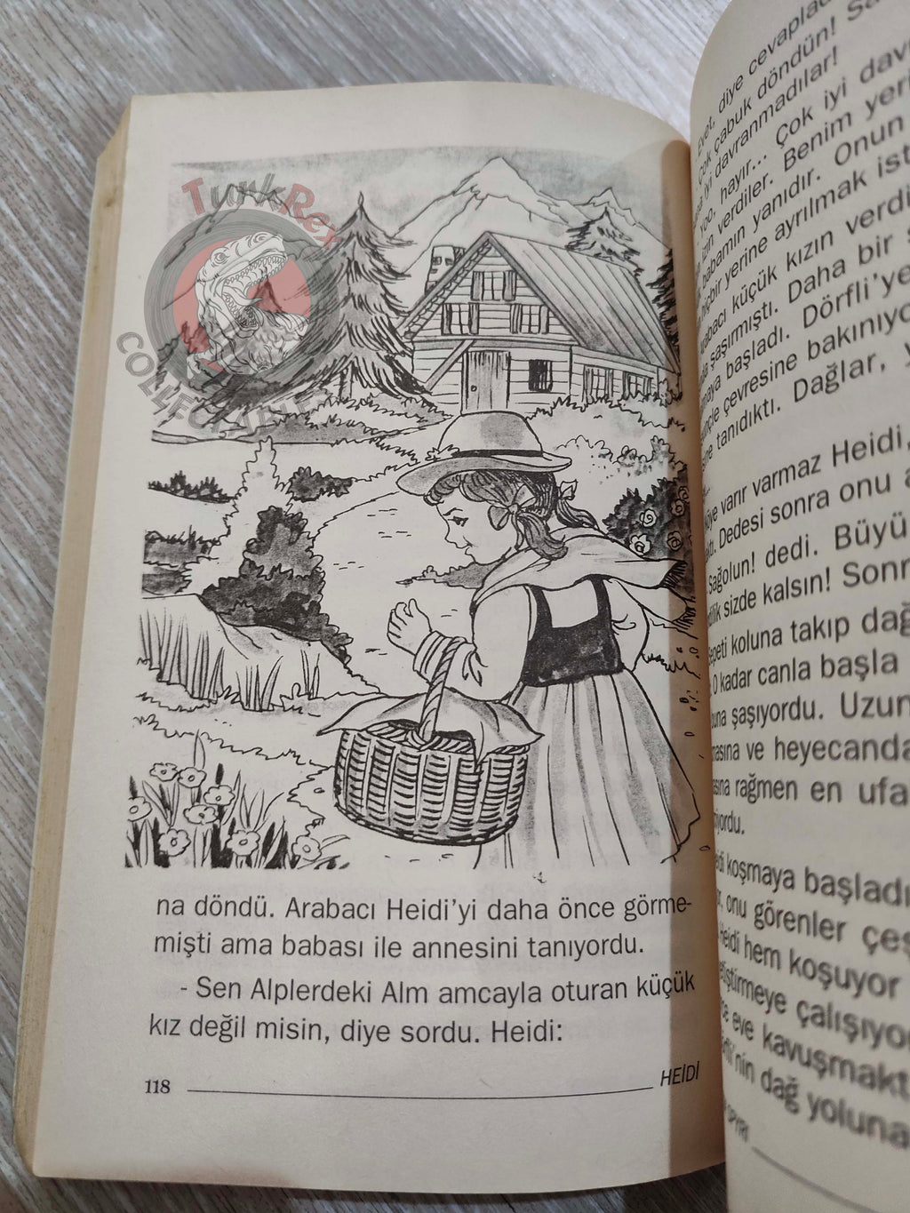 Johanna Spyri – Heidi 2006 Turkish Book Turkey Illustrated