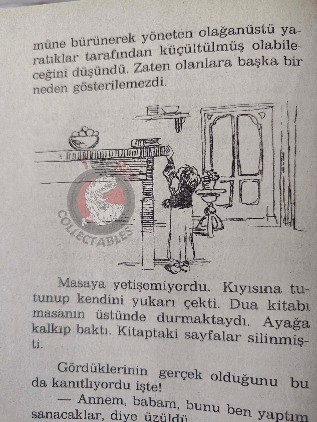 Selma Lagerlöf – The Wonderful Adventures Of Nils 90s Illustrated Turkish Book Turkey