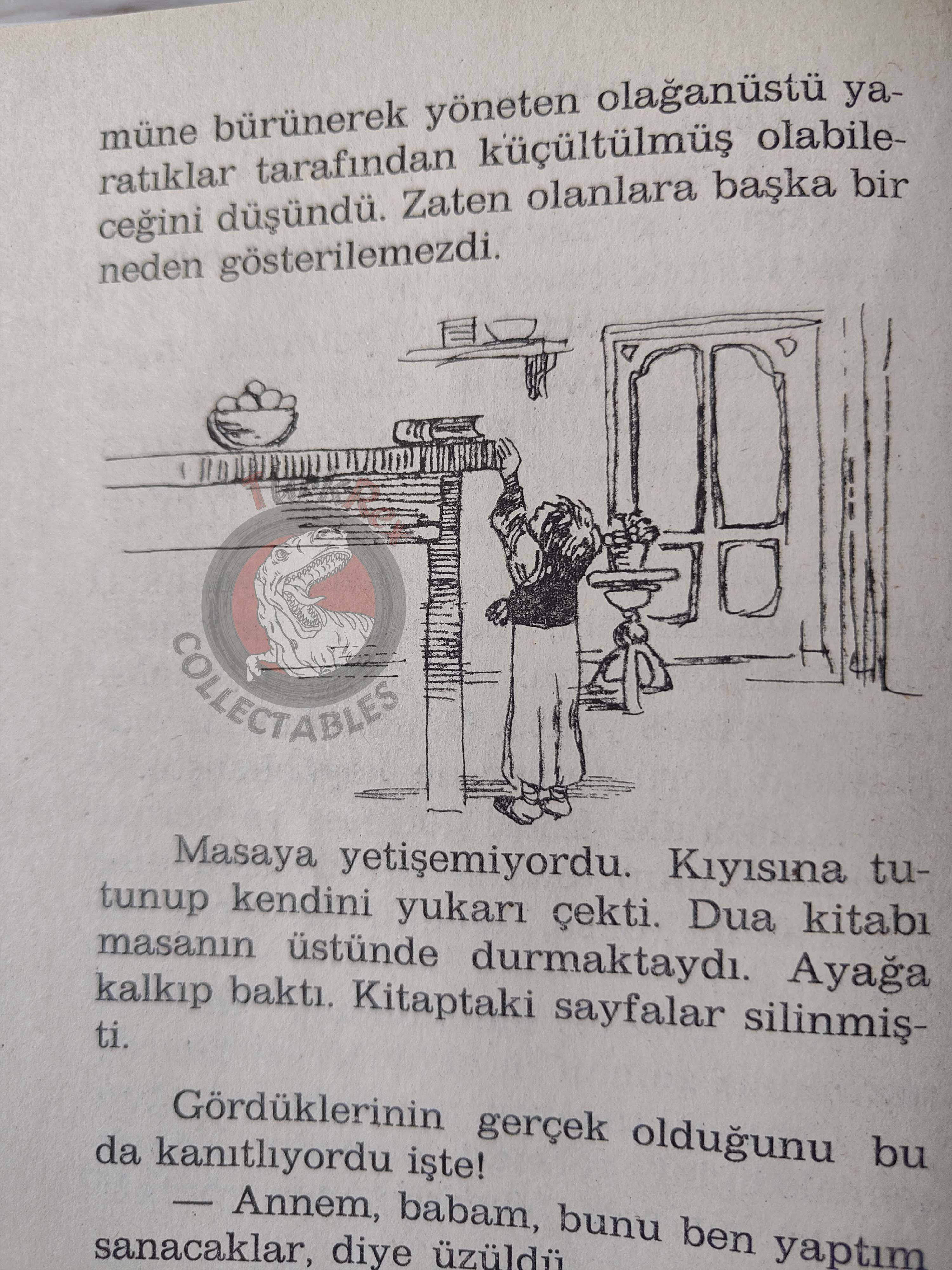 Selma Lagerlöf – The Wonderful Adventures Of Nils 90s Illustrated Turkish Book Turkey