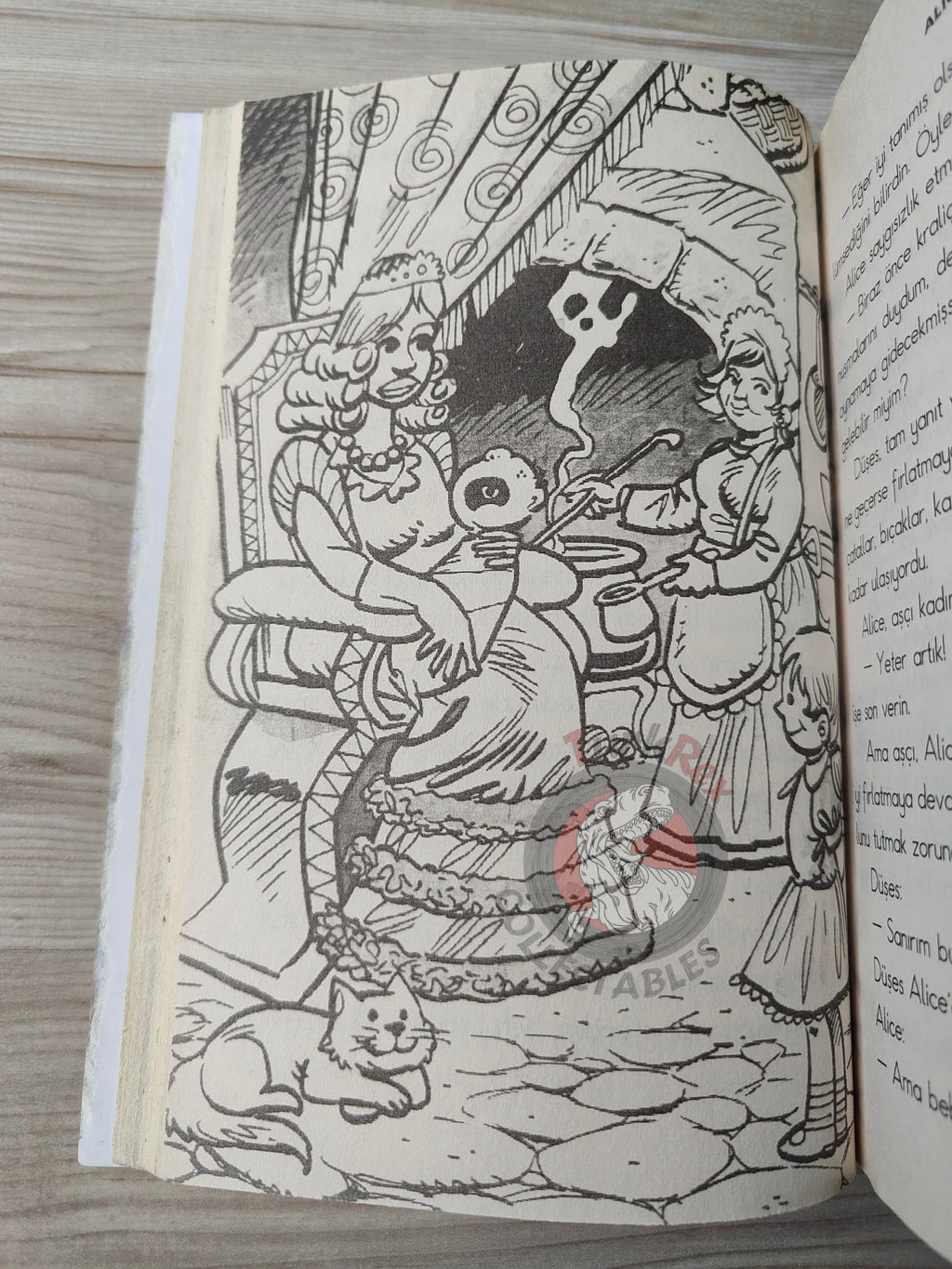 Lewis Carroll – Alice in Wonderland 2010 Turkish Book Turkey Illustrated 1
