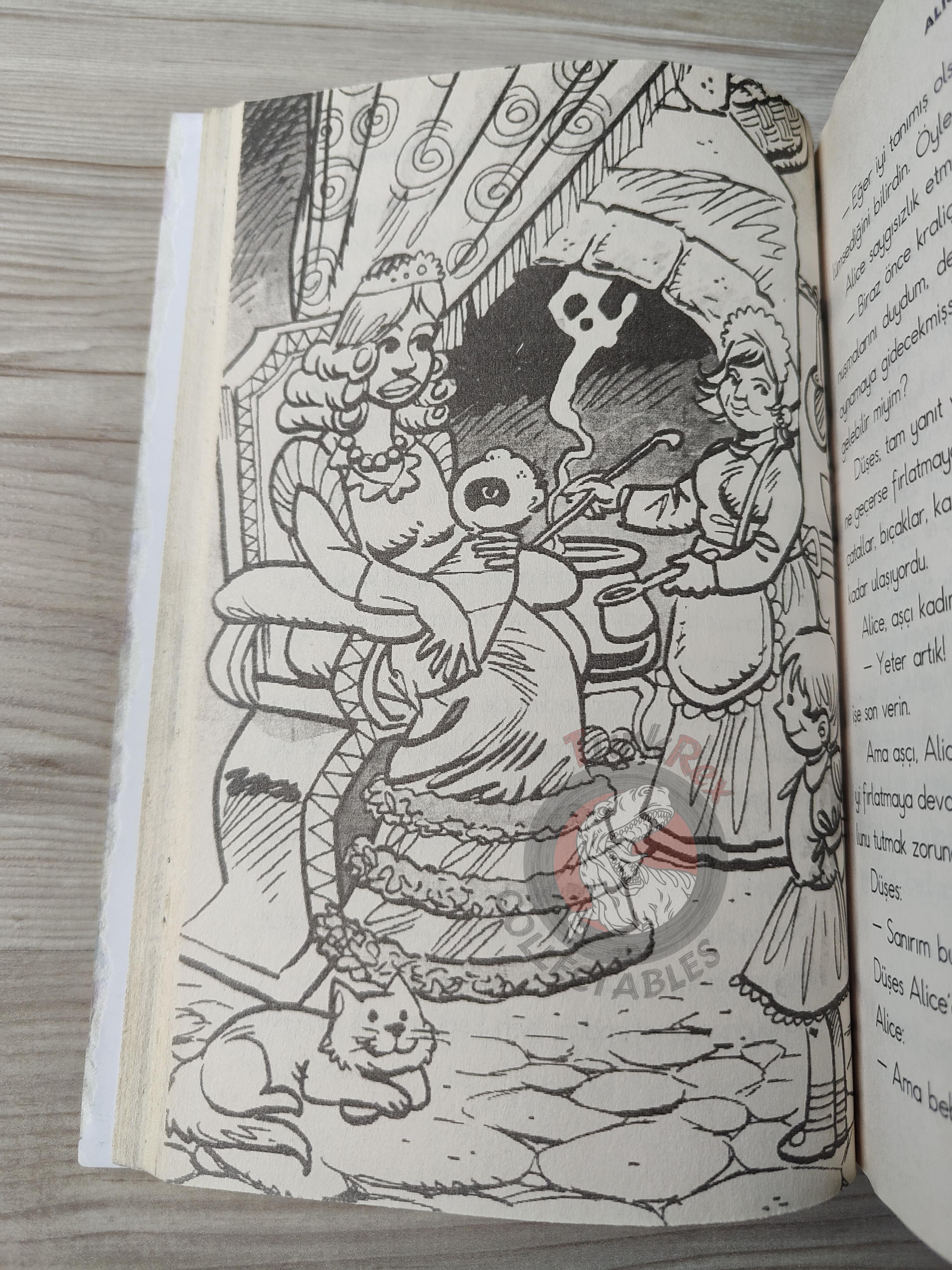 Lewis Carroll – Alice in Wonderland 2010 Turkish Book Turkey Illustrated 1
