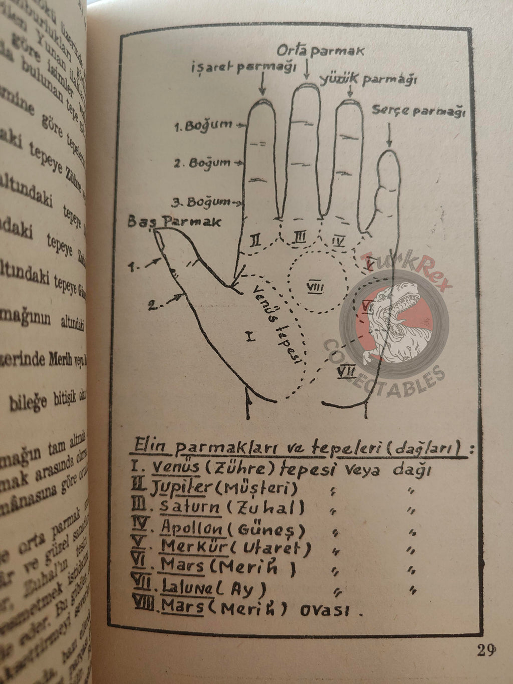 Palm Reading Palmistry Hand Reading 1961 Turkish Book Turkey