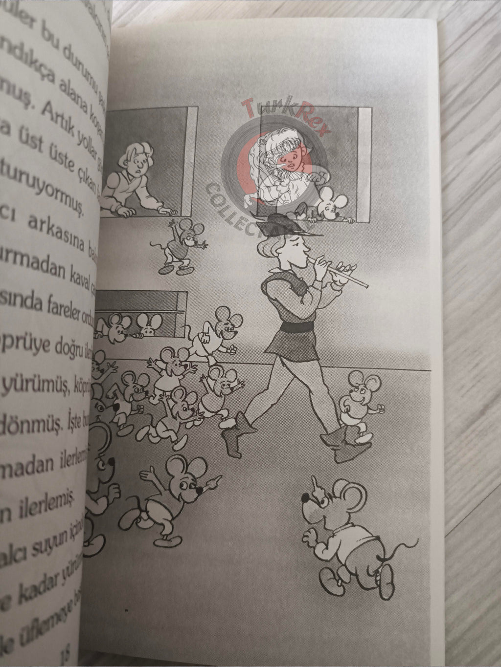 Grimm Brothers – Pied Piper of Hamelin 2009 Turkish Book Turkey Illustrated