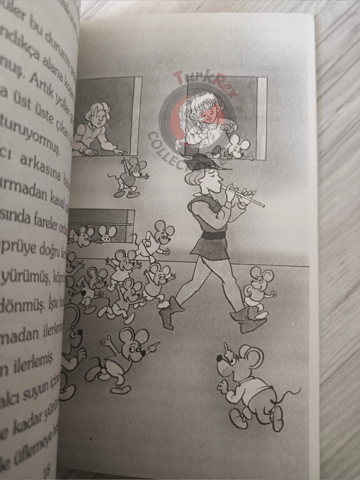 Grimm Brothers – Pied Piper of Hamelin 2009 Turkish Book Turkey Illustrated