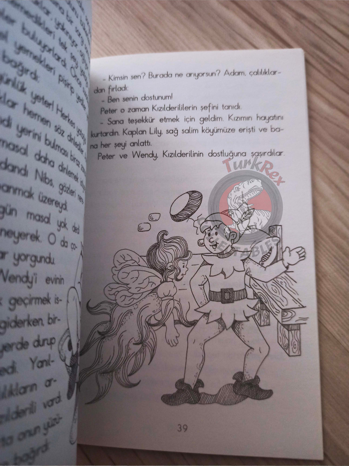 J. M. Barrie – Peter Pan 2010 Turkish Book Turkey Illustrated 1