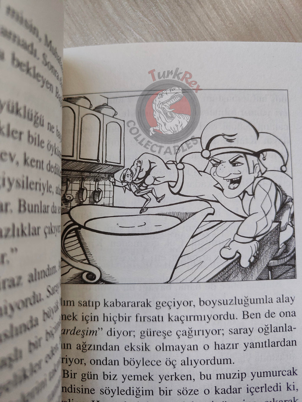 Jonathan Swift – Gulliver's Travels Brobdingnag 2004 Turkish Book Turkey Illustrated