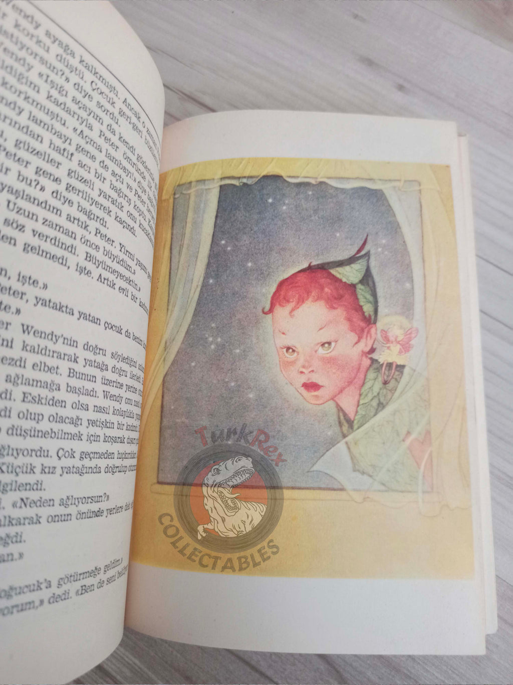 J. M. Barrie – Peter Pan 1985 Turkish Book Turkey Illustrated Arthur Rackham