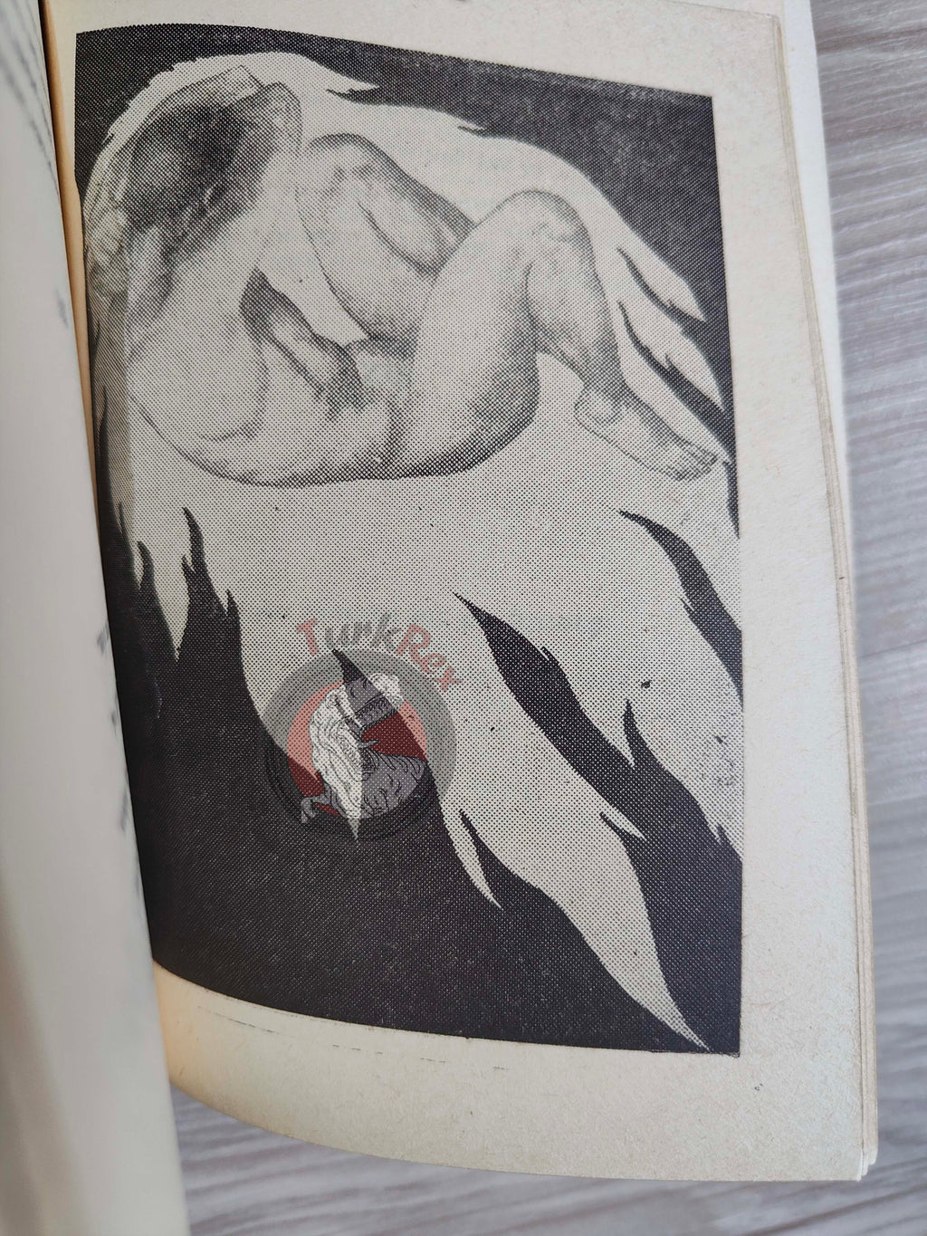 Rubaiyat of Omar Khayyam 1955 Illustrated Turkish Book Turkey