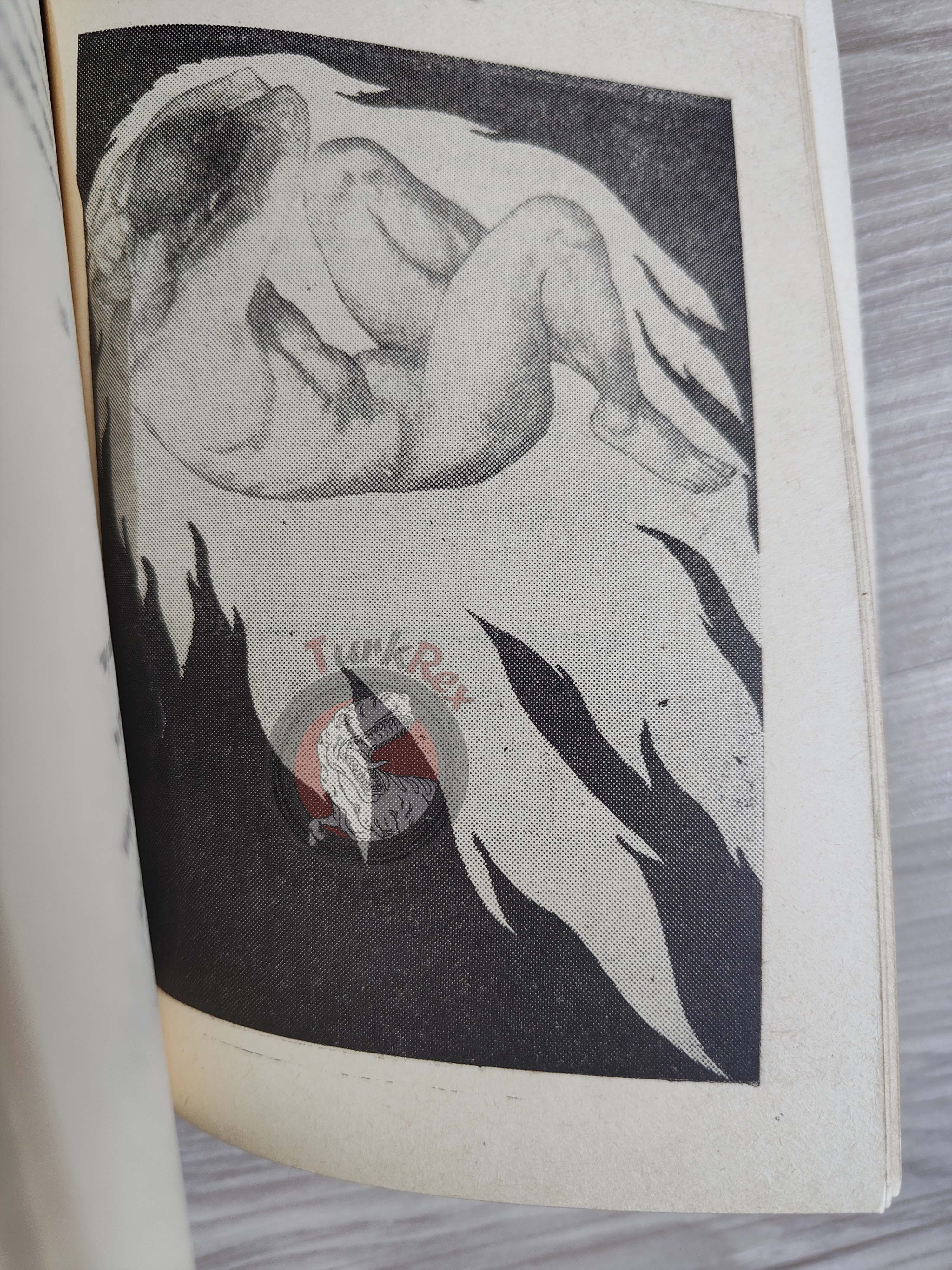 Rubaiyat of Omar Khayyam 1955 Illustrated Turkish Book Turkey