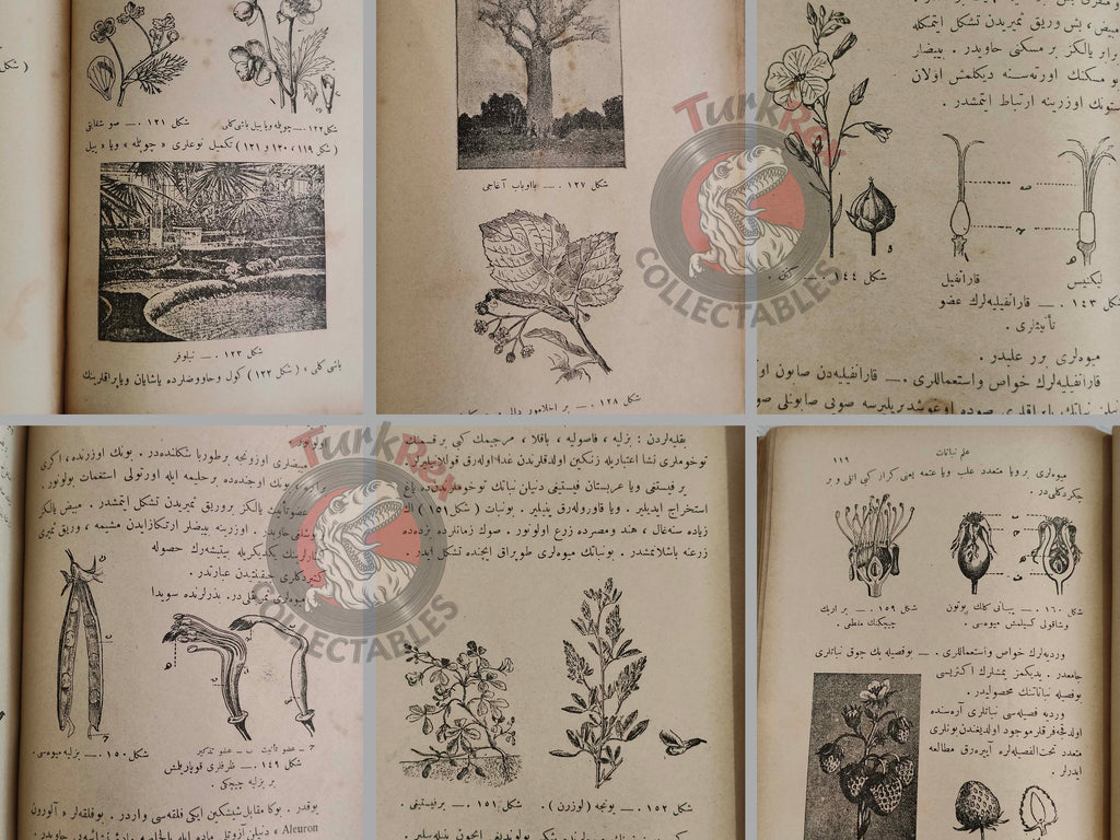 Ottoman 1924 New General History  Book with many Maps Ali Reşad Empire + Botany Plants