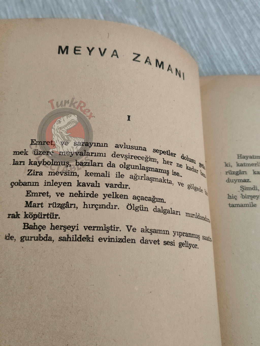 Rabindranath Tagore – Fruit Gathering 1944 Turkish Book Turkey