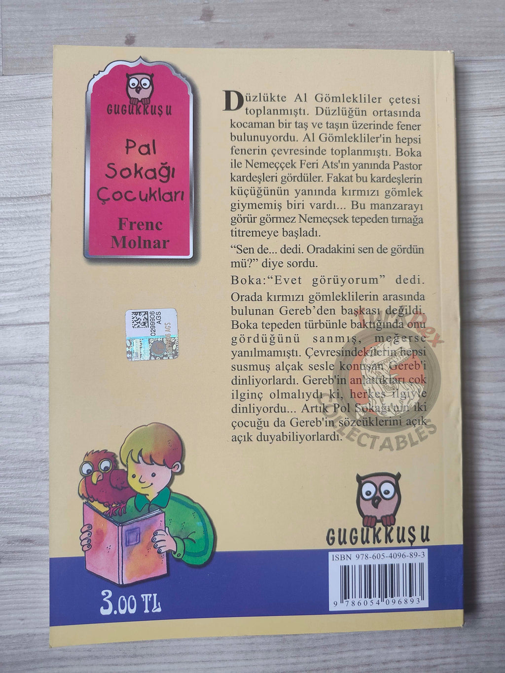 Ferenc Molnár – The Paul Street Boys 2013 Turkish Book Turkey Illustrated