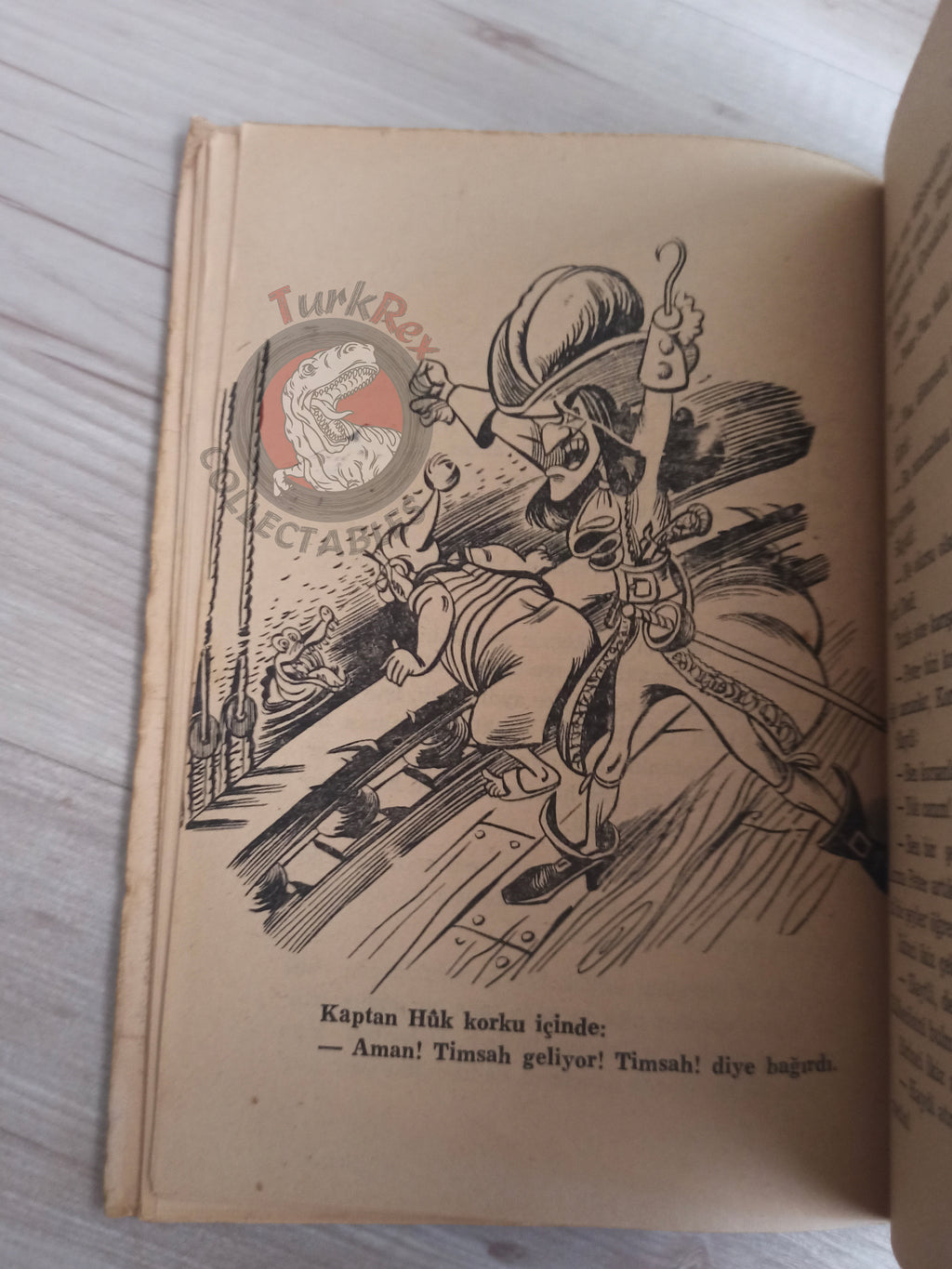 J. M. Barrie – Peter Pan 1960s Turkish Book Turkey Illustrated