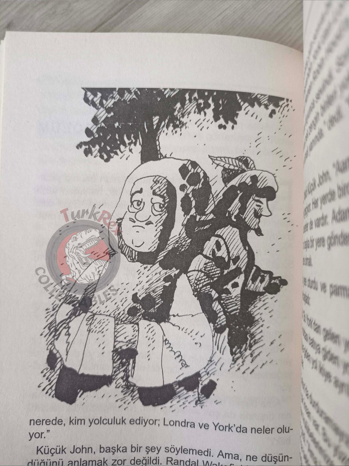 Robin Hood – John Turvey 2011 Turkish Book Turkey Illustrated