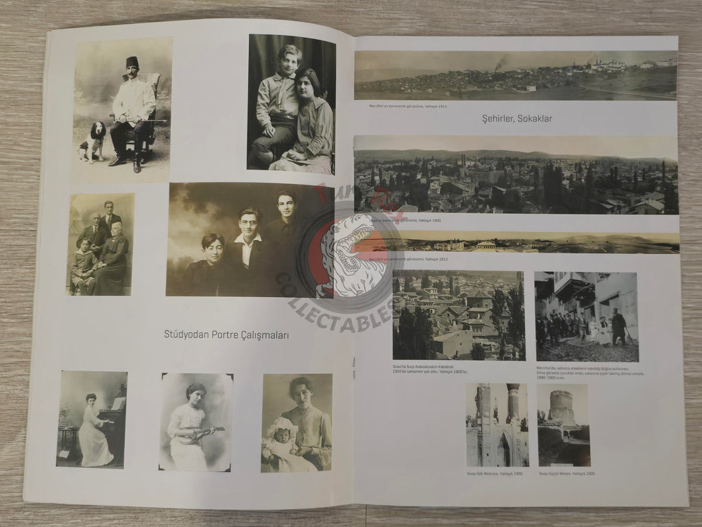 The Lost History of an Armenian Family Dildilian Brothers 2015 Turkish Book Turkey Armenia