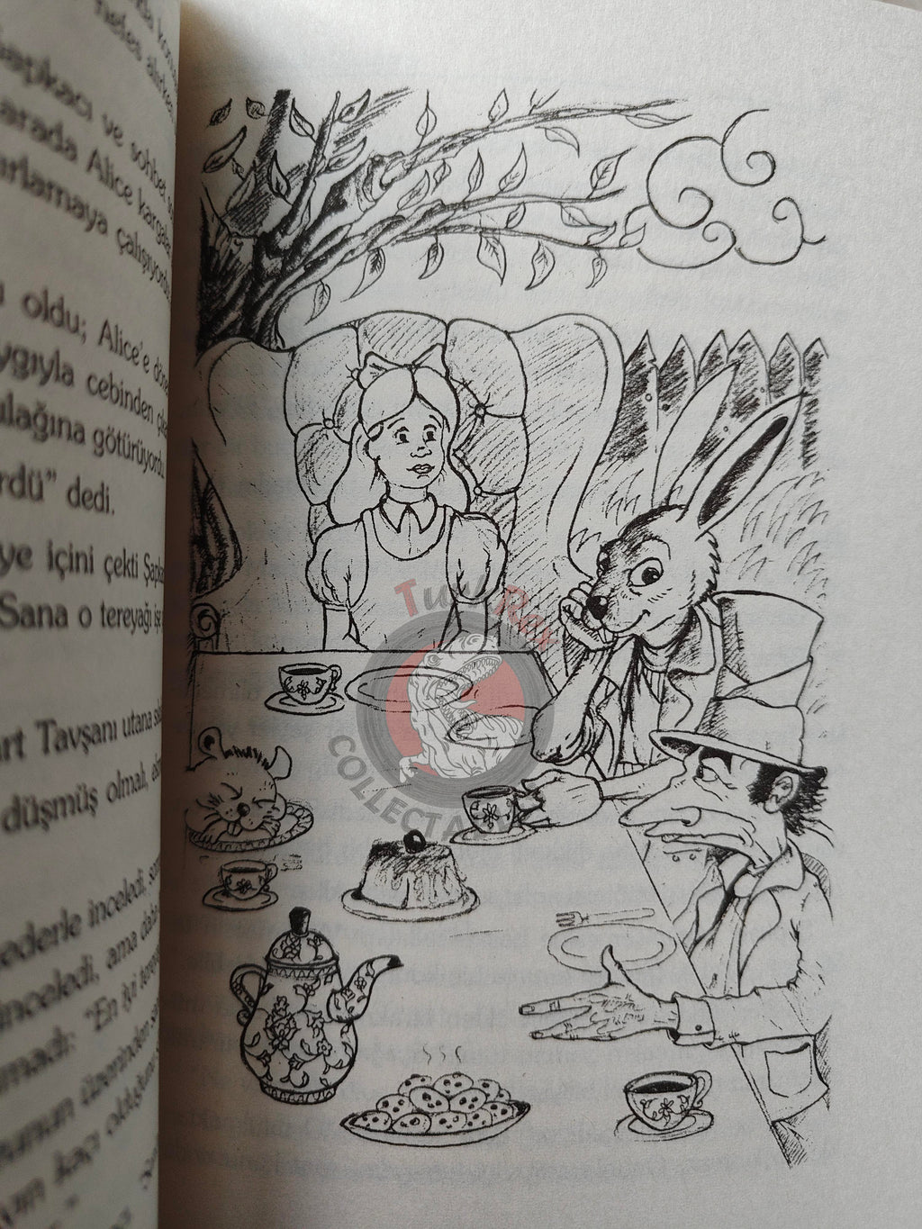 Lewis Carroll – Alice in Wonderland 2004 Turkish Book Turkey Illustrated