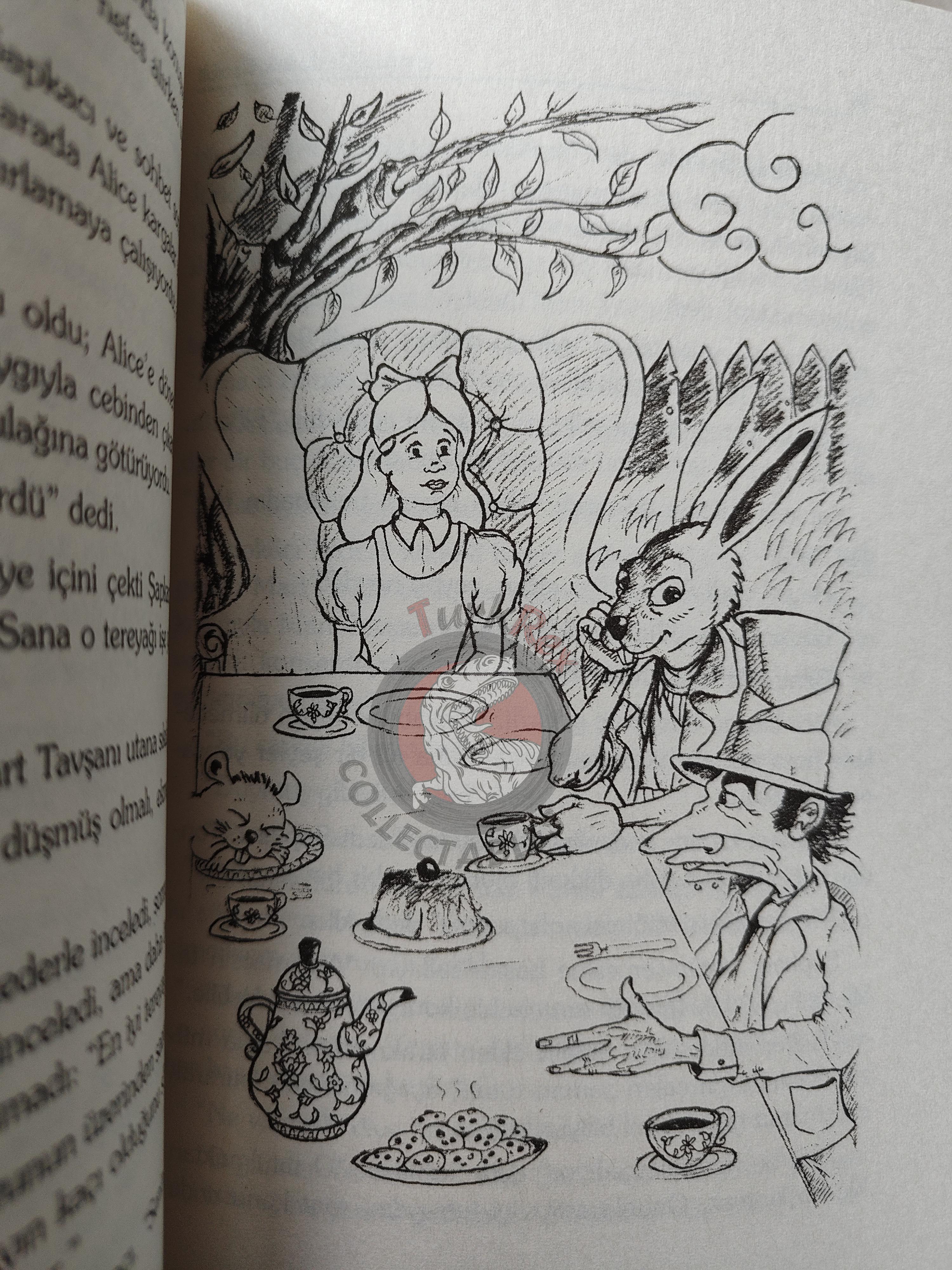 Lewis Carroll – Alice in Wonderland 2004 Turkish Book Turkey Illustrated
