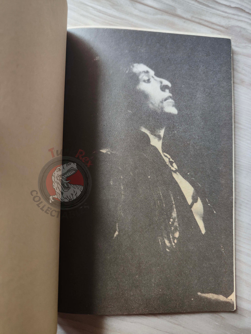 Bob Dylan Biography Book 1985 1st by Turkish Writer Book Turkey