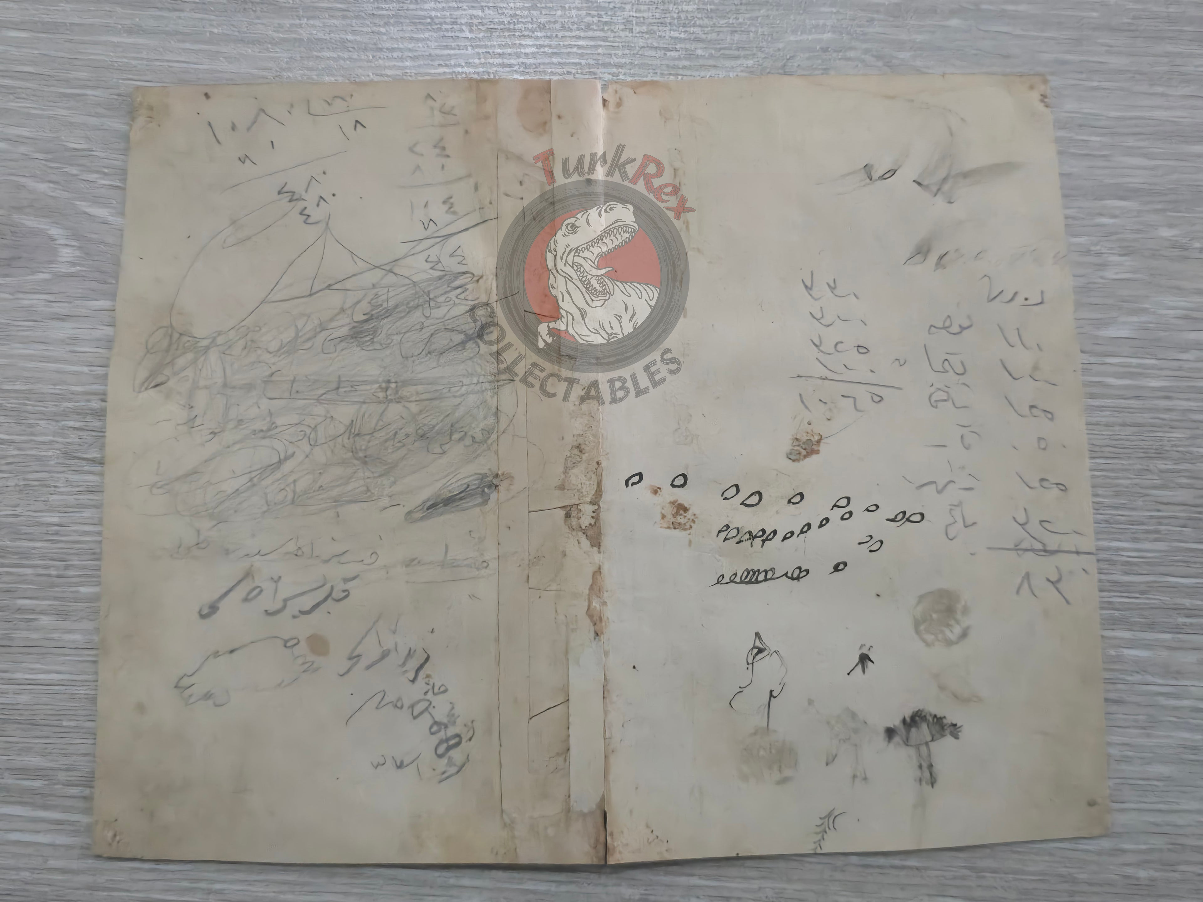 Europe 1876 Ottoman Script Map Empire Italy Germany Spain France England