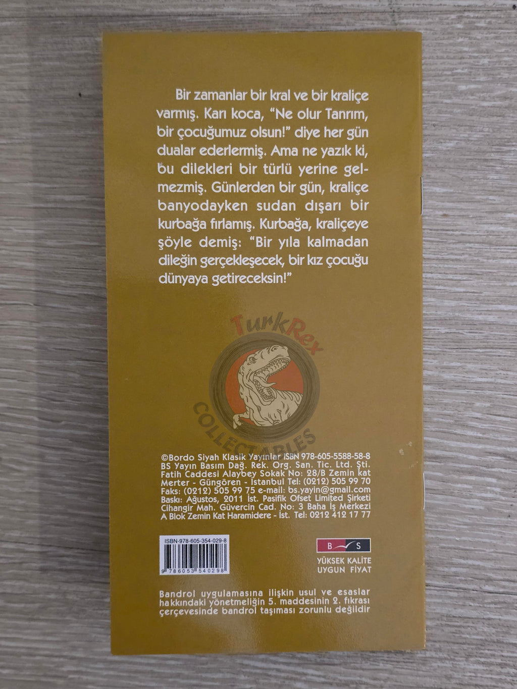 Grimm Brothers –  Sleeping Beauty 2011 Turkish Book Turkey Illustrated