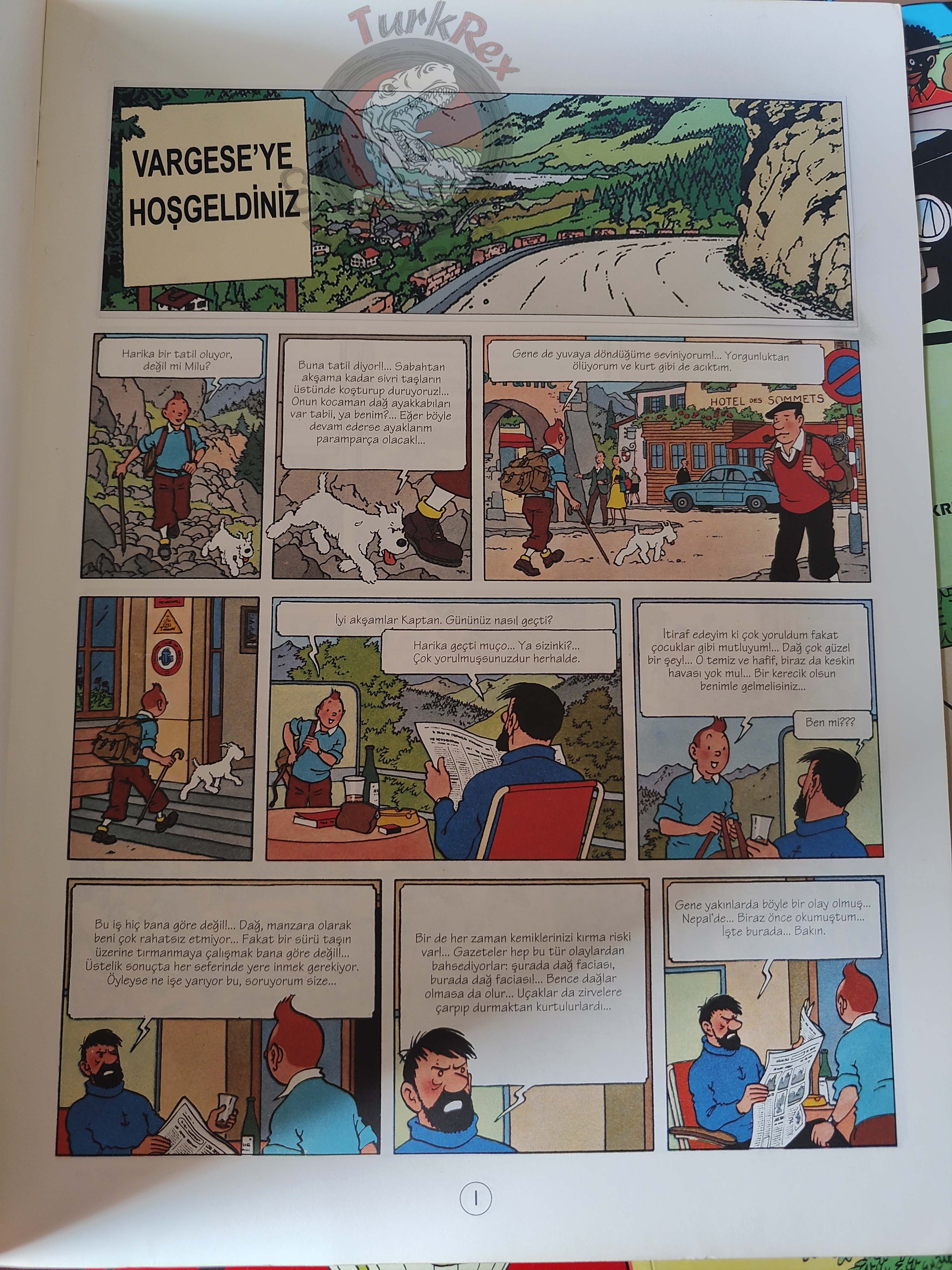 Tintin – Lot of 22 Complete Set 1994 - 1998 Turkish Edition Comic Turkey YKY