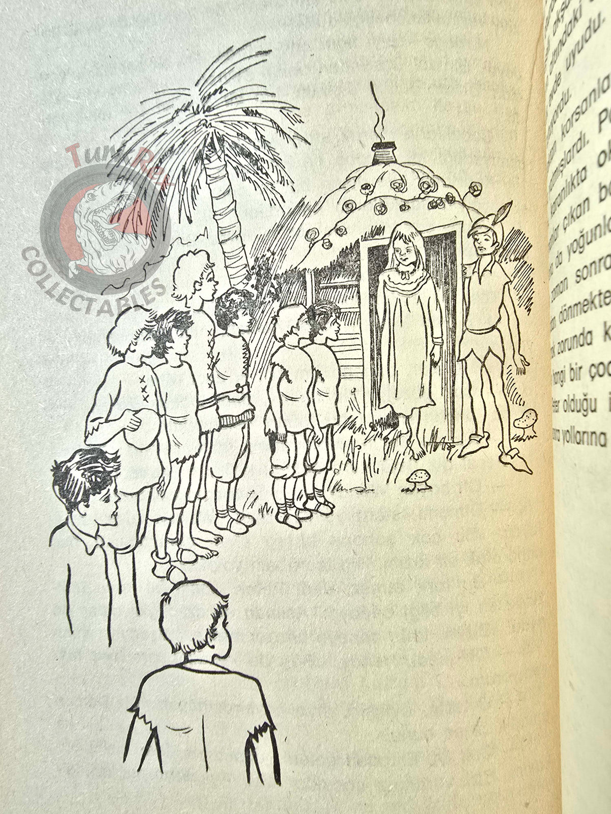 J. M. Barrie – Peter Pan 1976 Turkish Book Turkey Illustrated