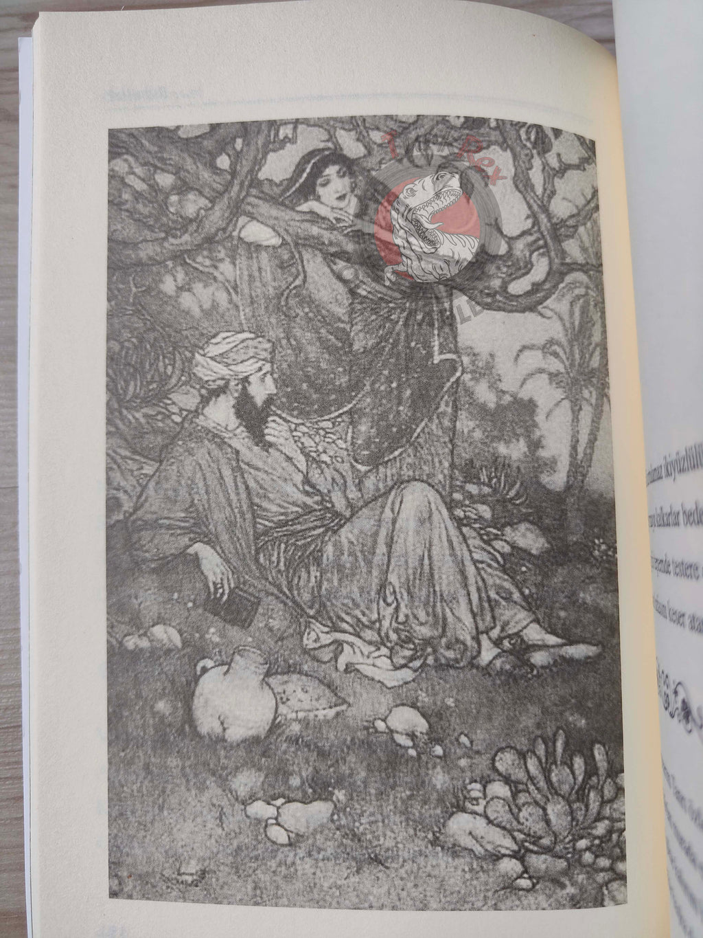 Rubaiyat of Omar Khayyam 2013 Illustrated Turkish Book Turkey Panama