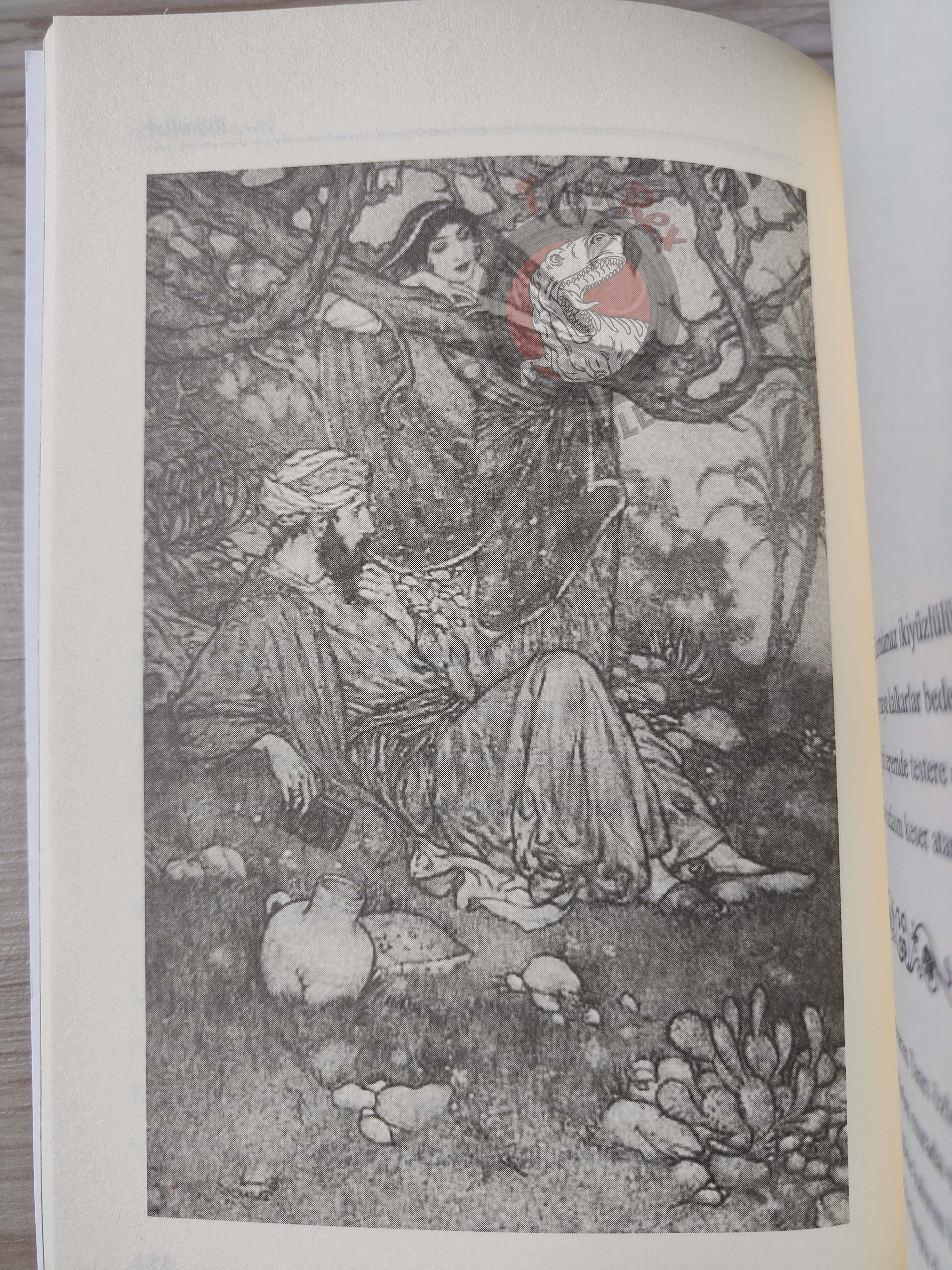 Rubaiyat of Omar Khayyam 2013 Illustrated Turkish Book Turkey Panama