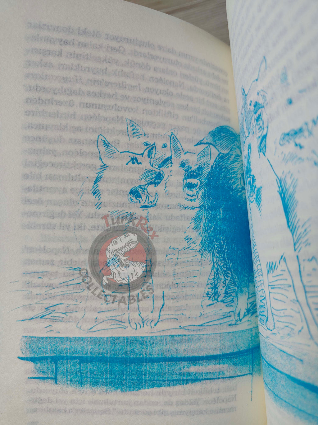 George Orwell – Animal Farm 2008 Illustrated Turkish Book Turkey