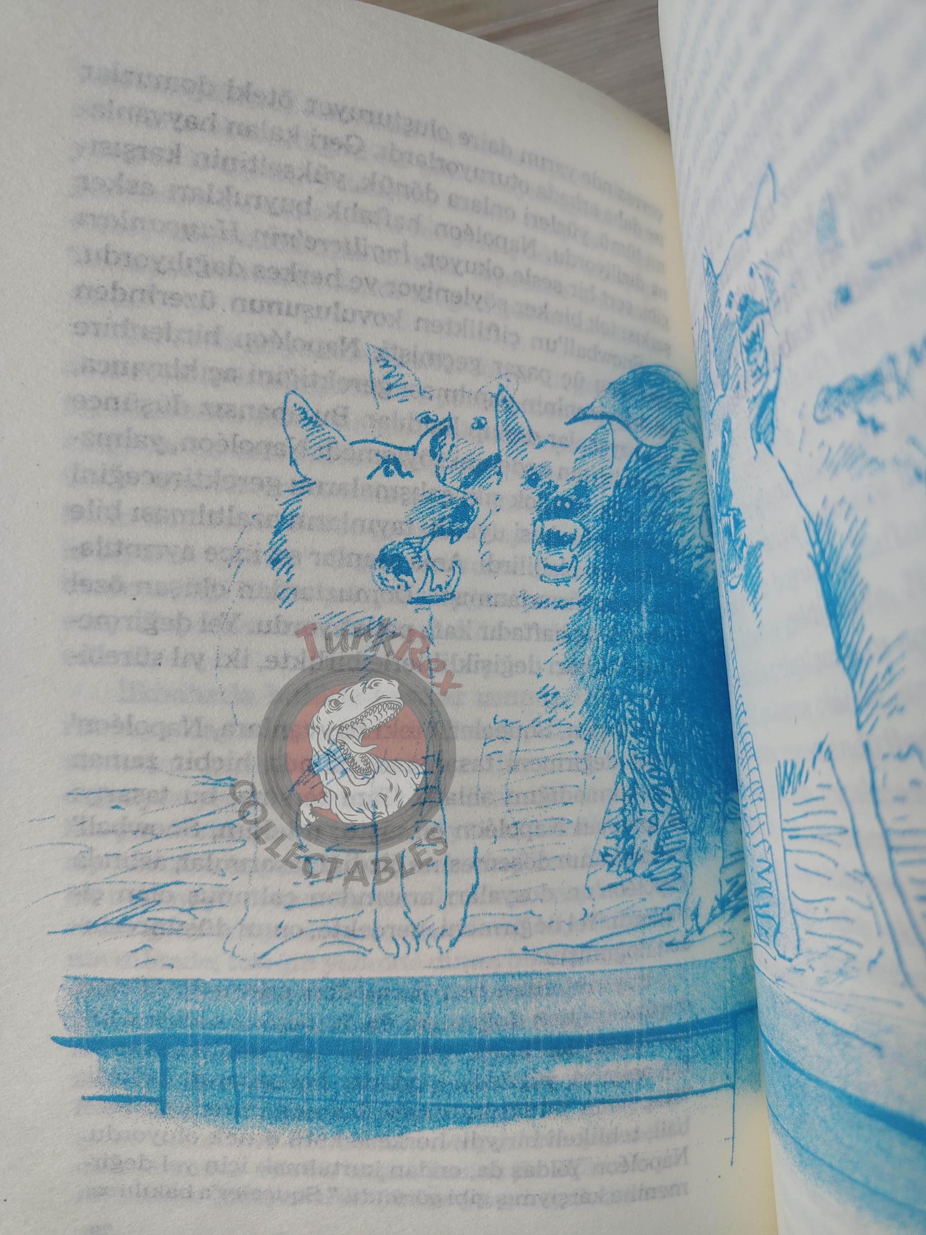 George Orwell – Animal Farm 2008 Illustrated Turkish Book Turkey