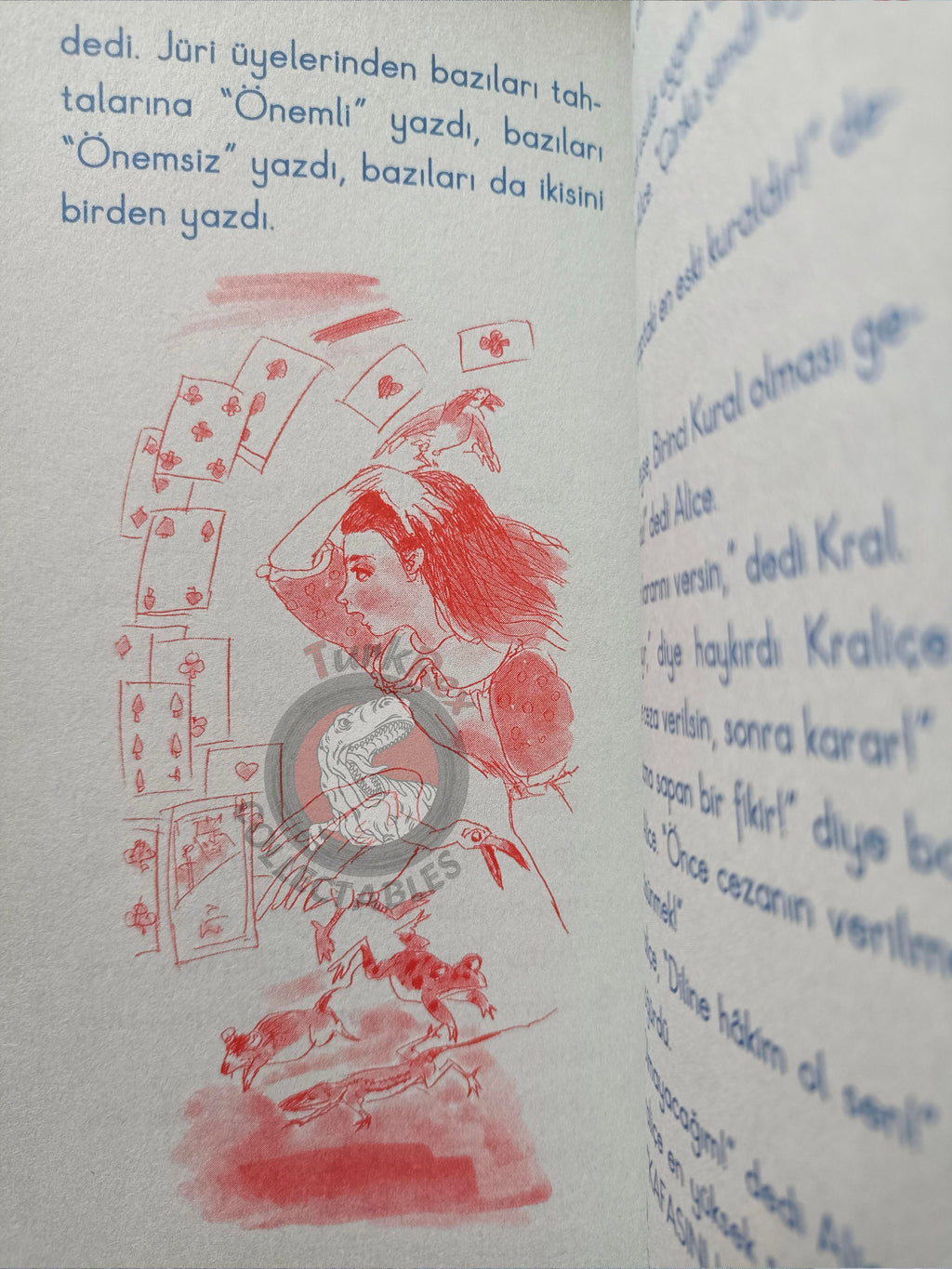 Lewis Carroll – Alice in Wonderland 2010 Turkish Book Turkey Illustrated 3